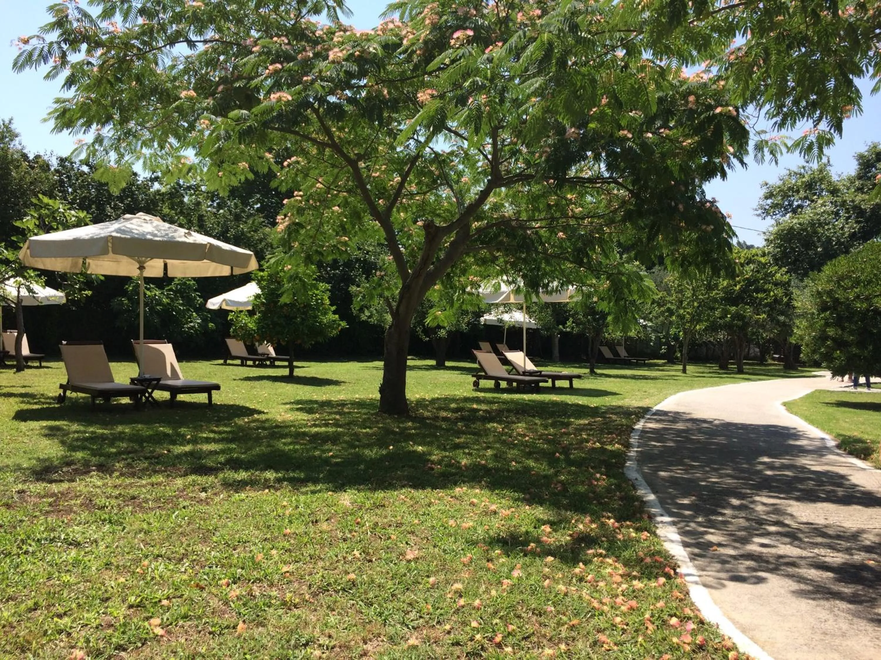 Day in Villa Jeanna