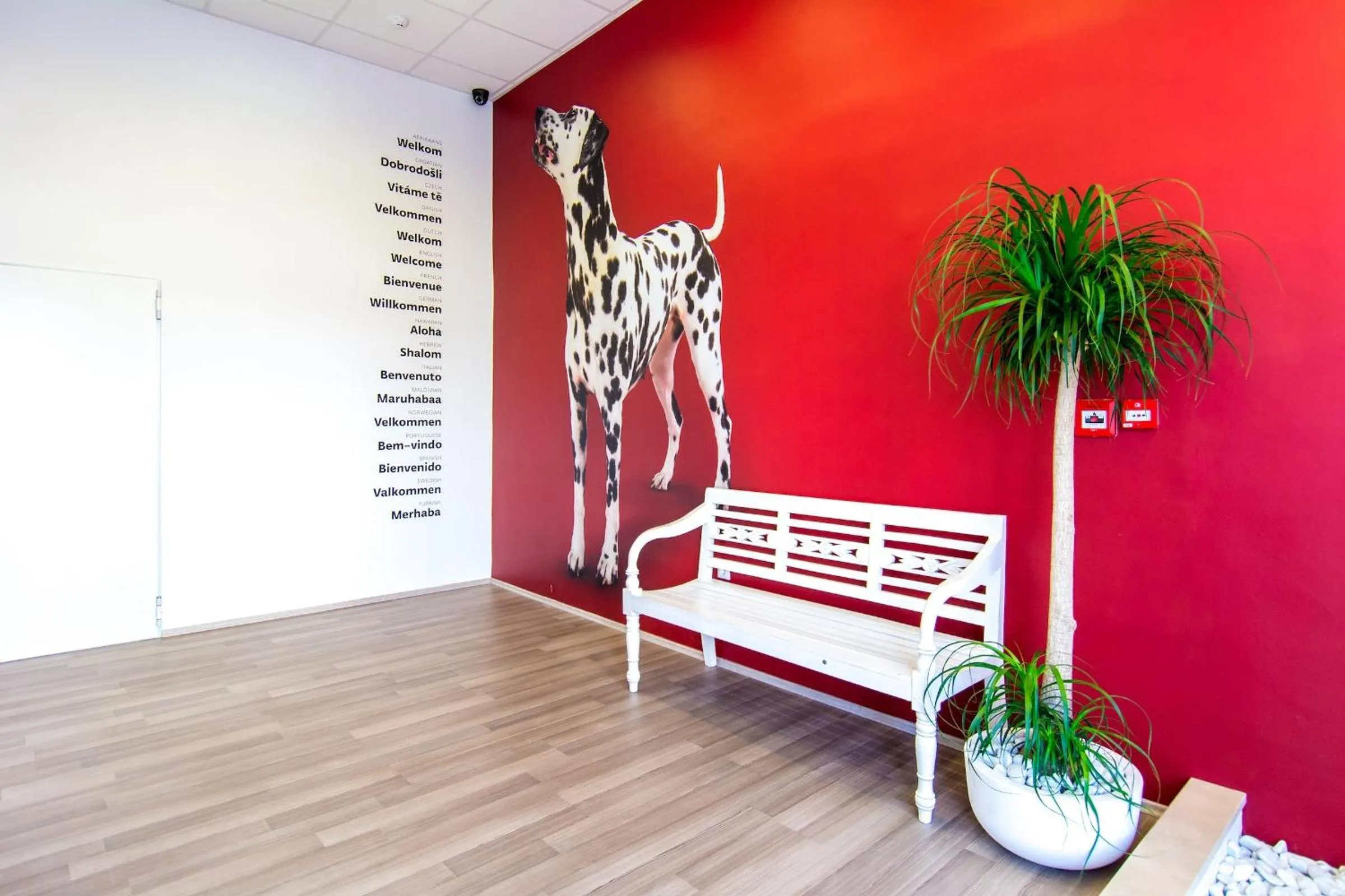 Lobby or reception in Design Hostel 101 Dalmatinac