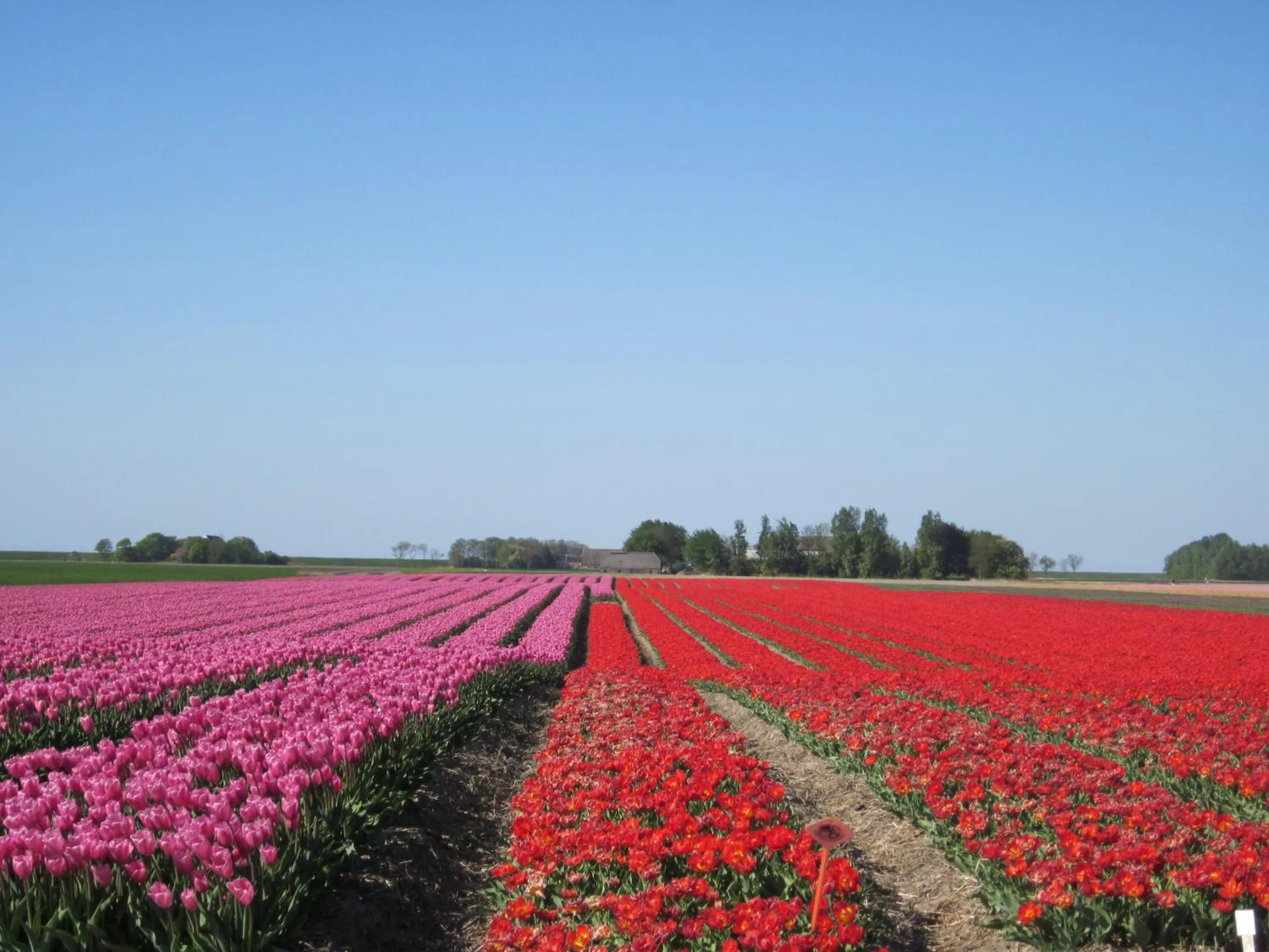 Spring in Finisterre