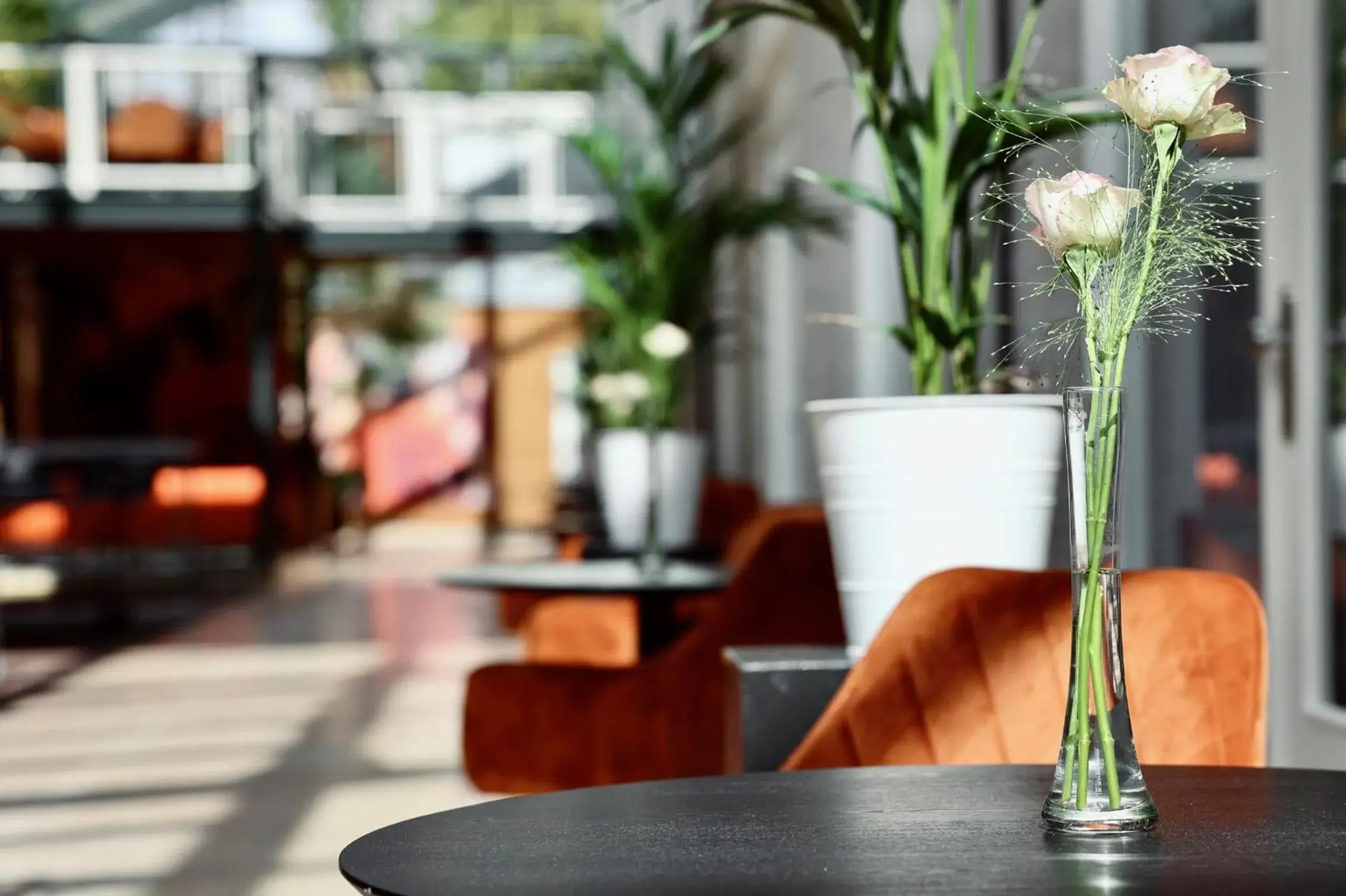 View (from property/room) in Fletcher Hotel-Restaurant Oud London View (from property/room) in Fletcher Hotel-Restaurant Oud London