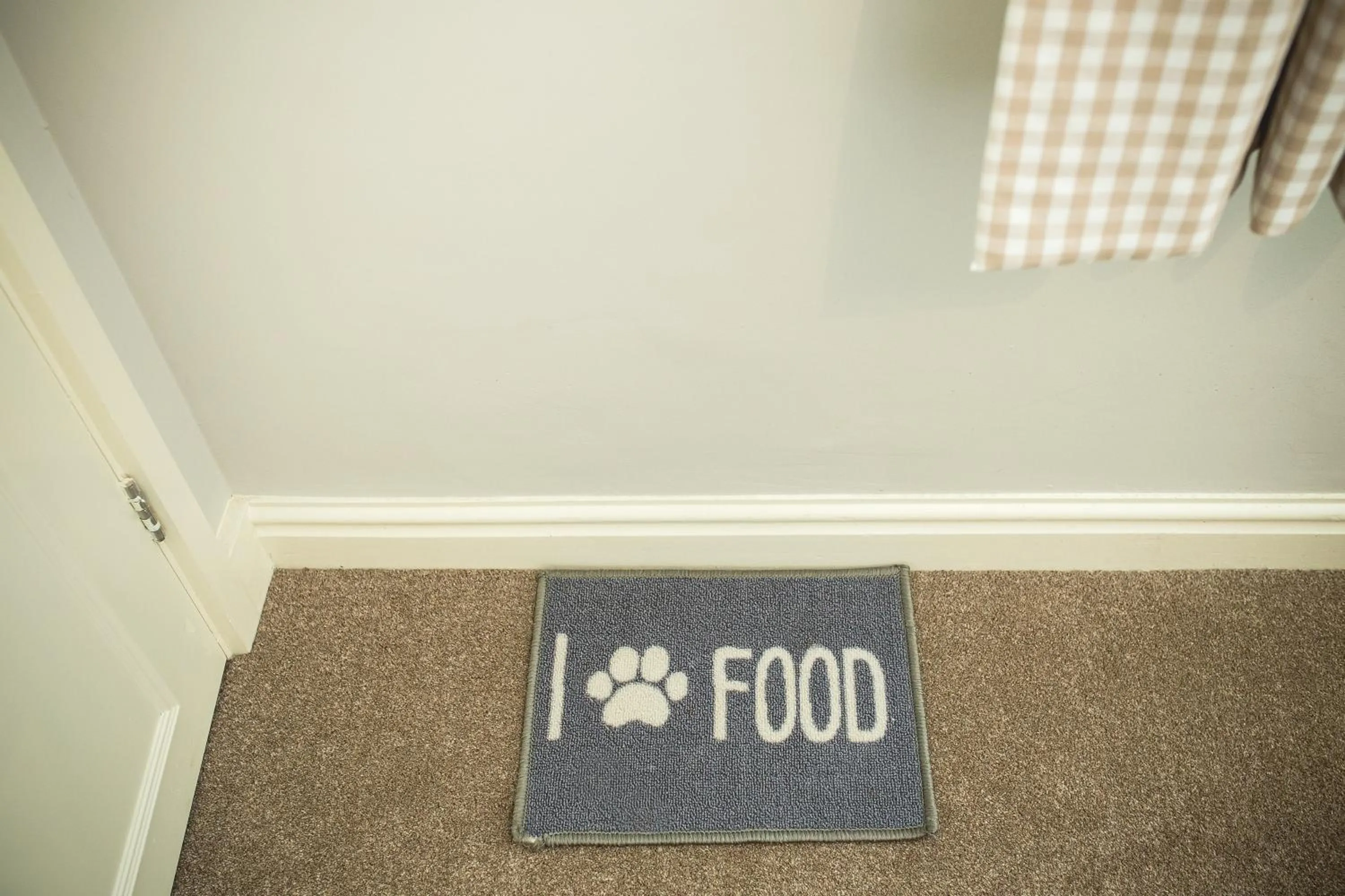 Pets in George Hotel, BW Signature Collection