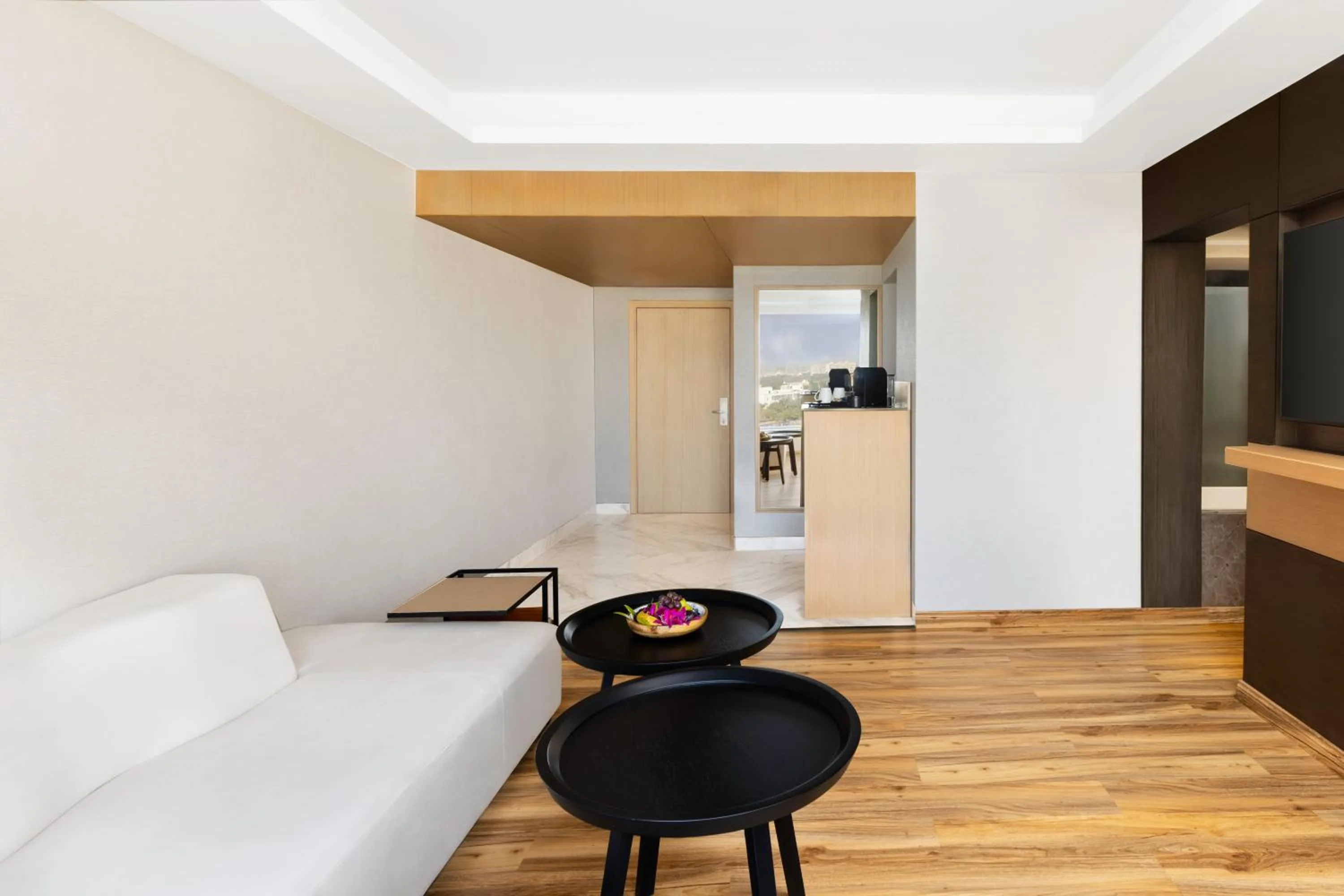 TV and multimedia in Novotel Jaipur Convention Centre