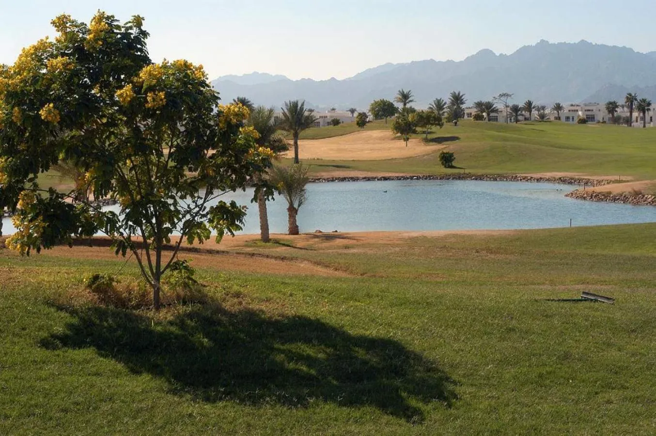 Natural landscape in Pickalbatros Golf Luxury Suites - All Inclusive