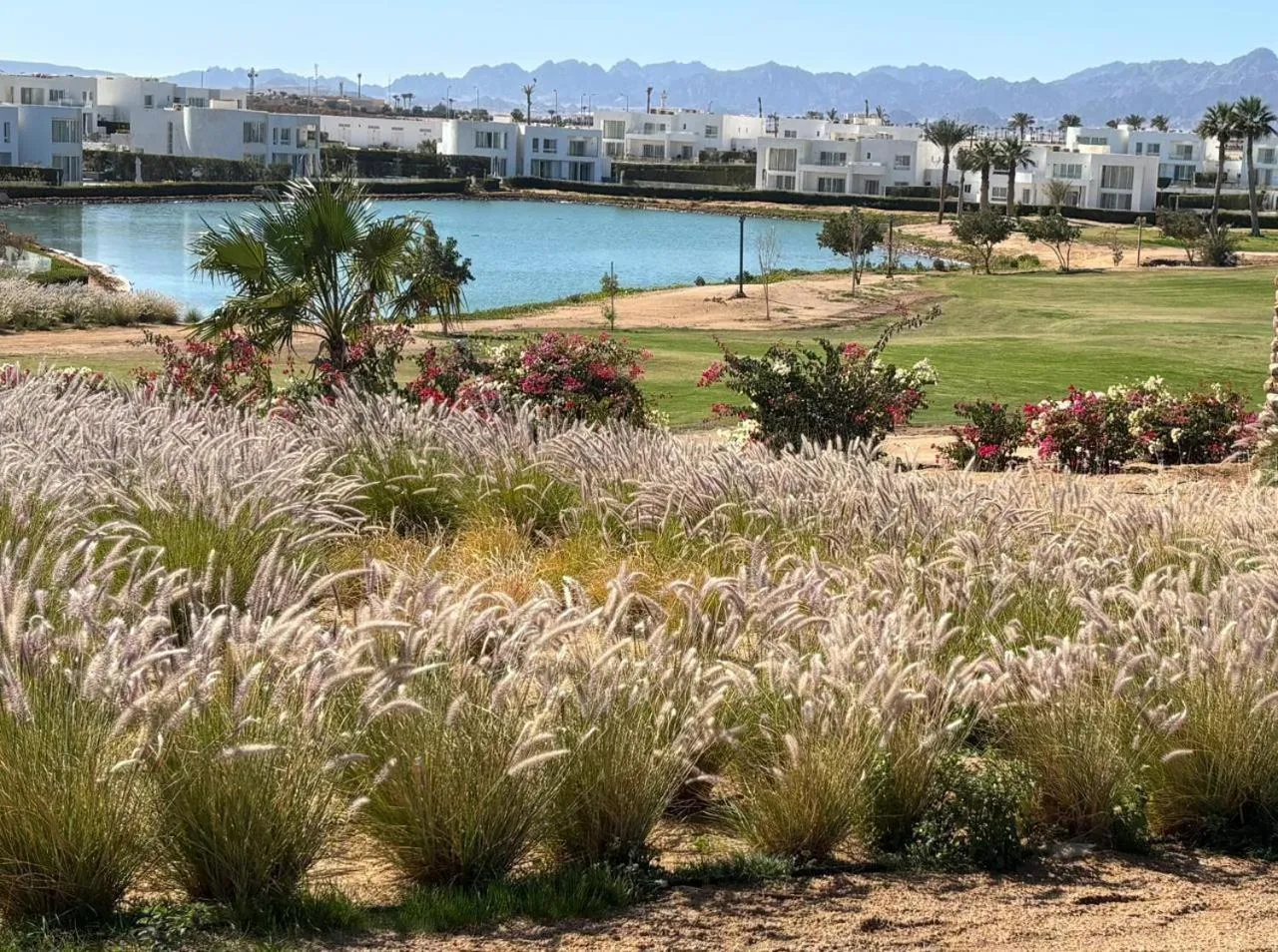 Natural landscape in Pickalbatros Golf Luxury Suites - All Inclusive