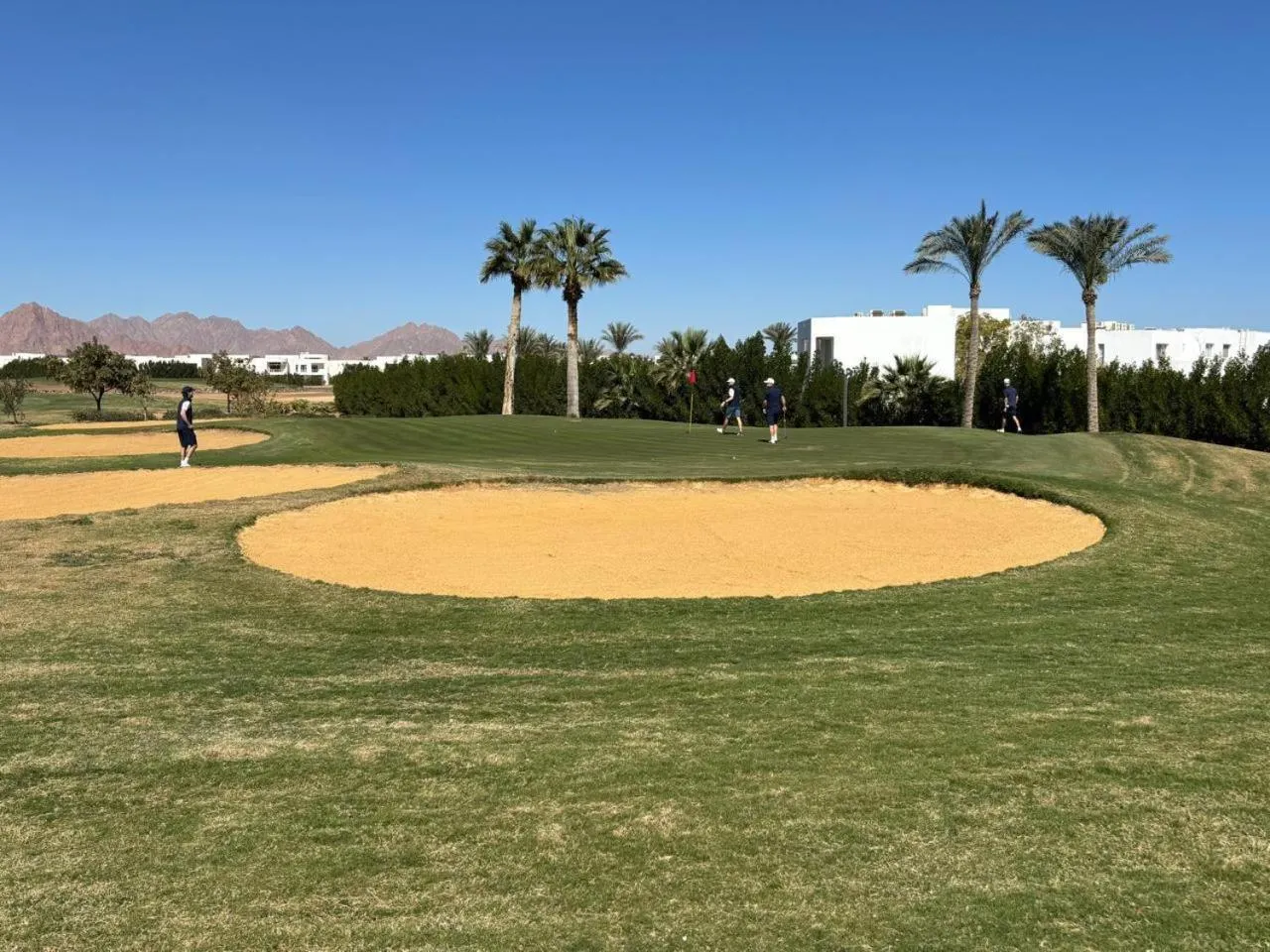 Golfcourse in Pickalbatros Golf Luxury Suites - All Inclusive