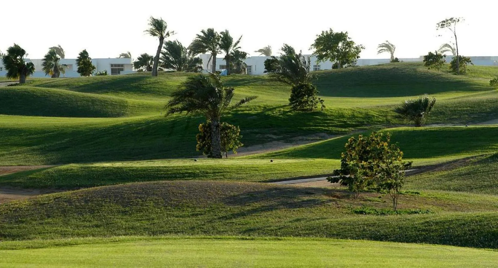 Natural landscape in Pickalbatros Golf Luxury Suites - All Inclusive