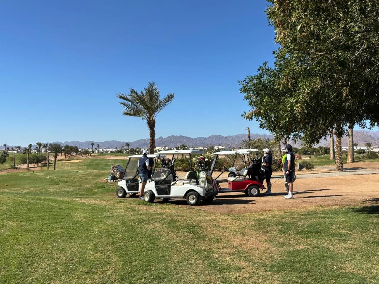 Golfcourse in Pickalbatros Golf Luxury Suites - All Inclusive