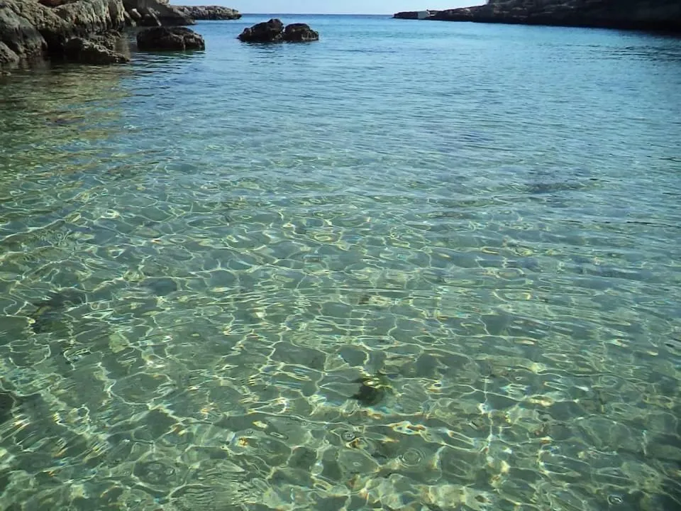 Natural landscape in B&B Don Gino