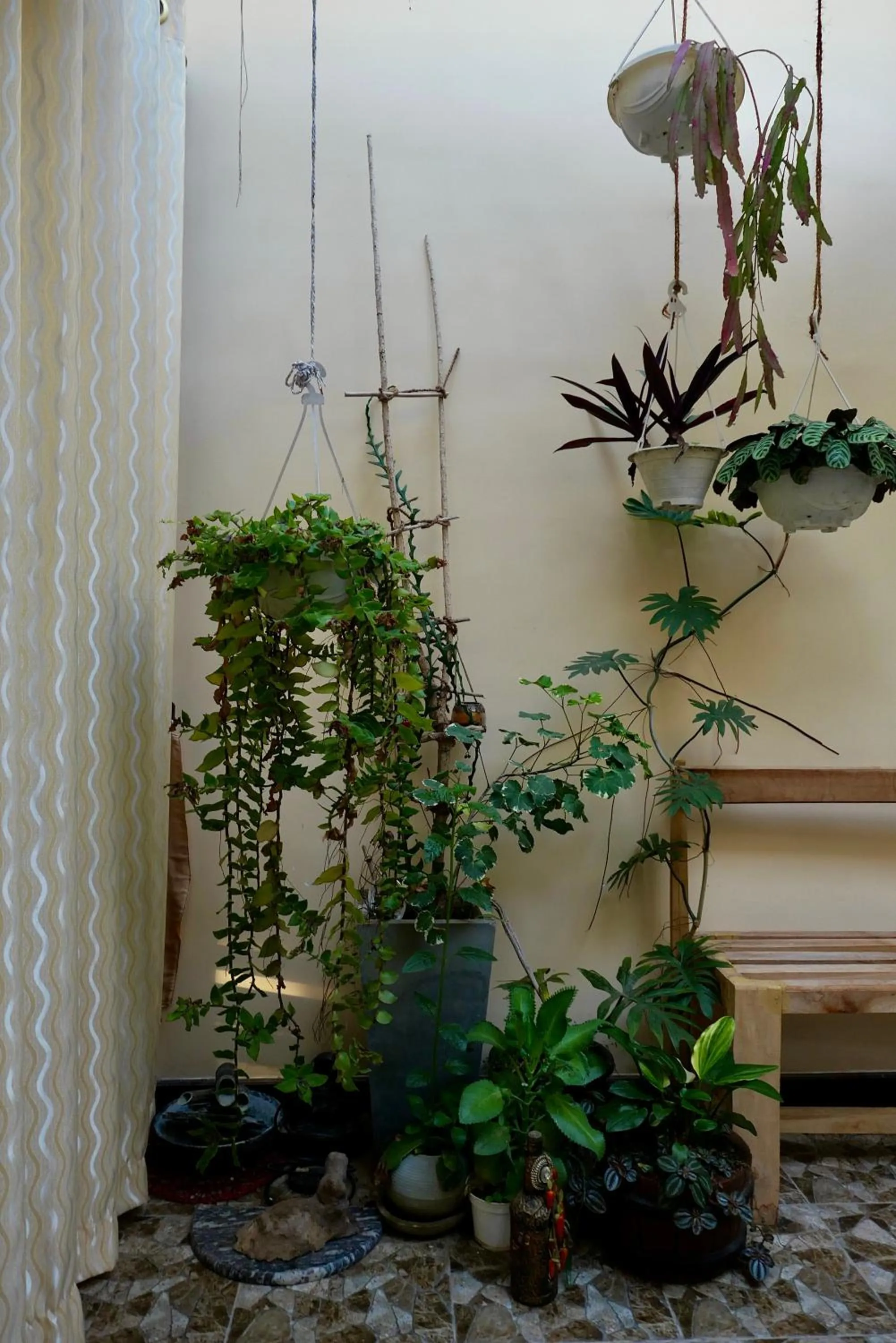 The Bliss Hostel Kandy