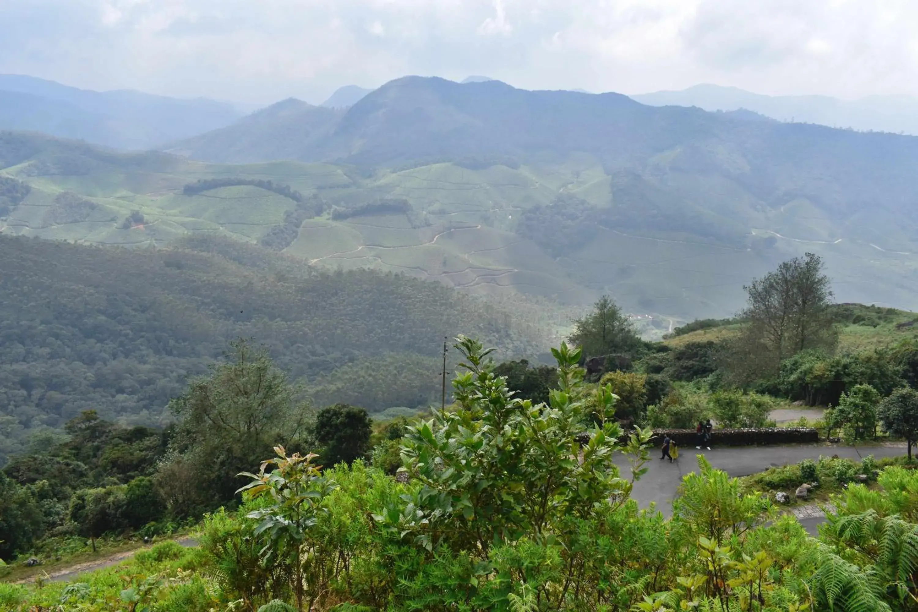 Mountain view in Moon Wings Mountain Resort, Kanthalloor Mountain view in Moon Wings Mountain Resort, Kanthalloor