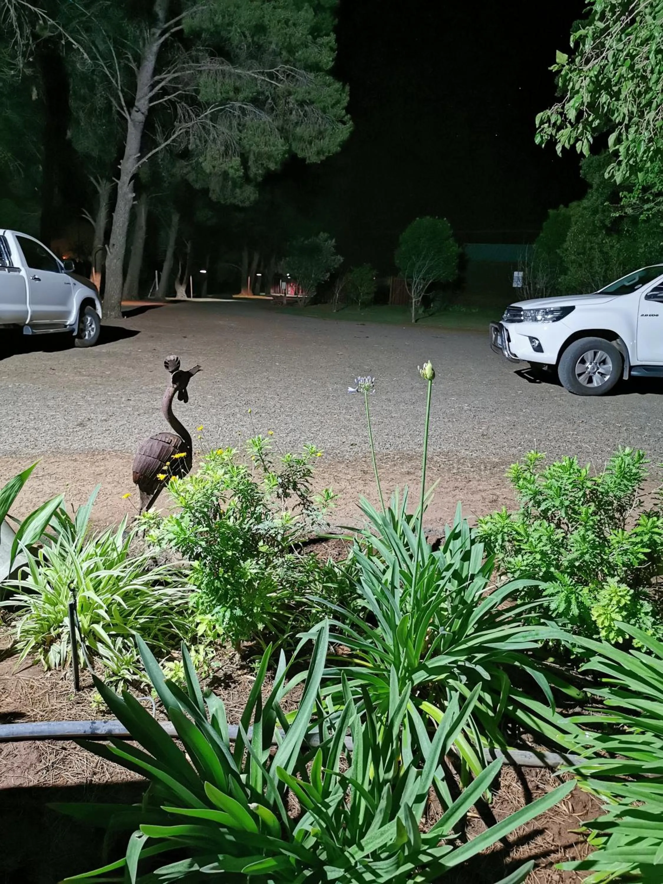 Natural landscape in A Cherry Lane Self Catering and B&B