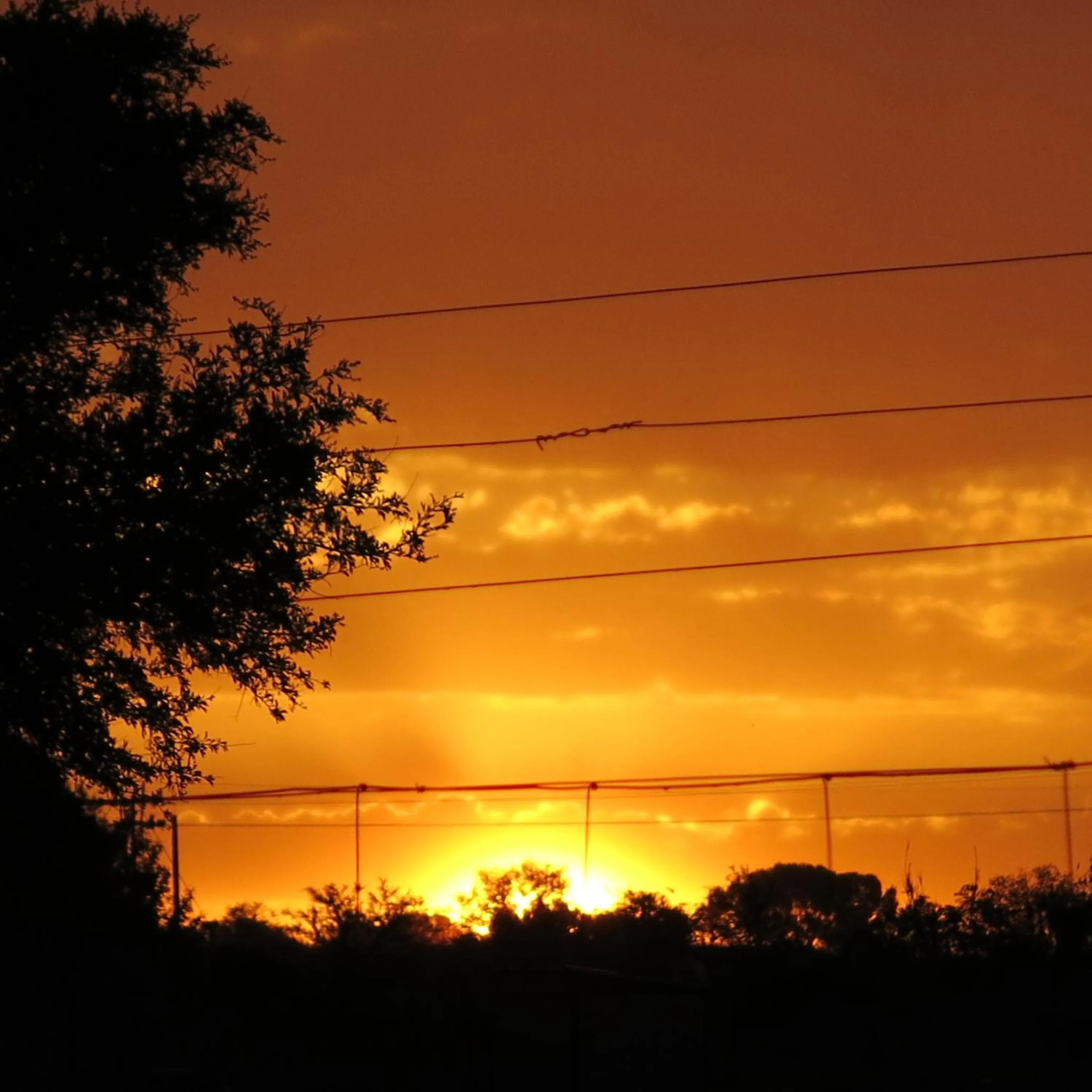 View (from property/room) in A Cherry Lane Self Catering and B&B