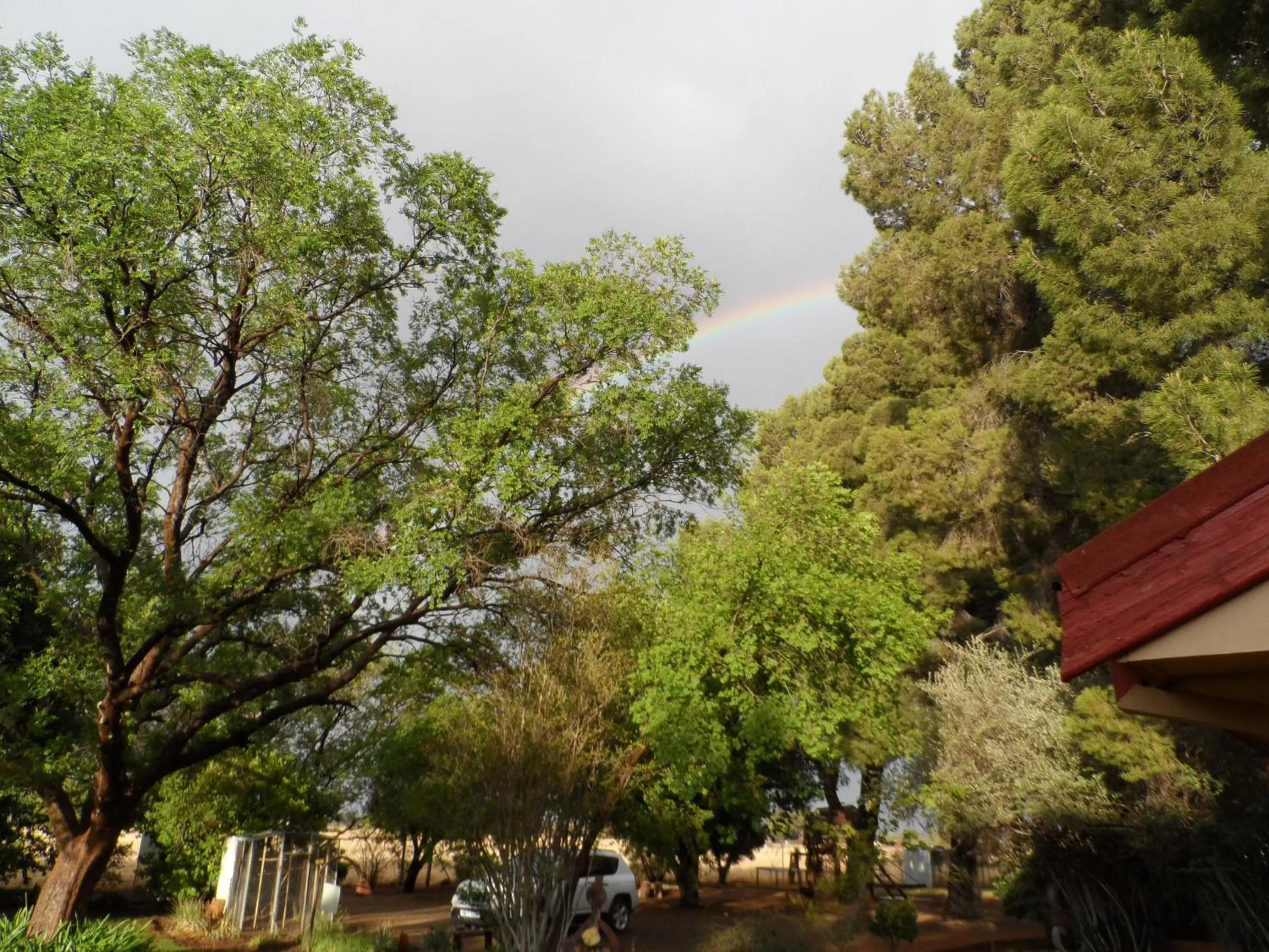 Garden in A Cherry Lane Self Catering and B&B