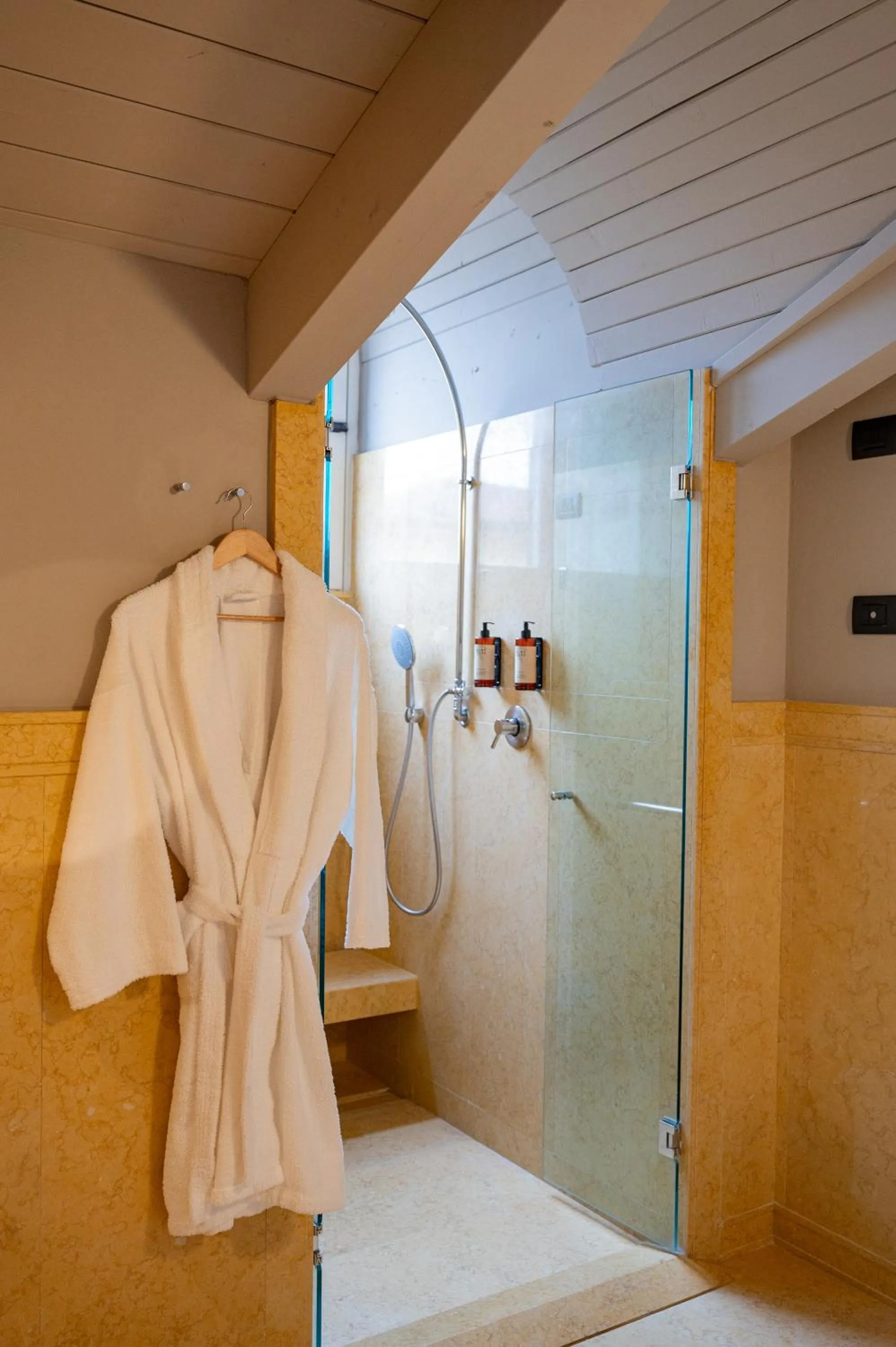 Shower in Hotel Brun