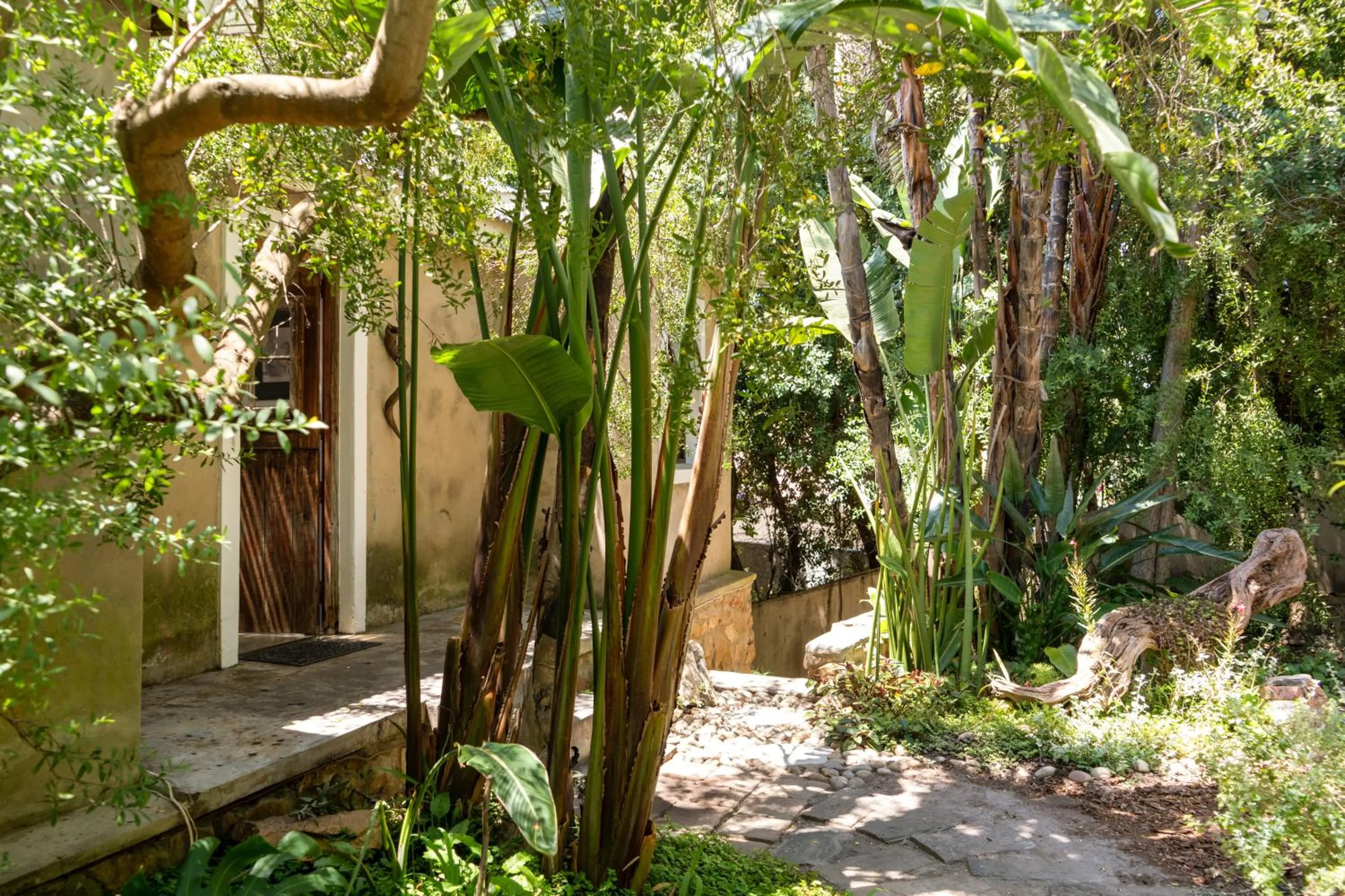 Garden view in Die Ou Kliphuis