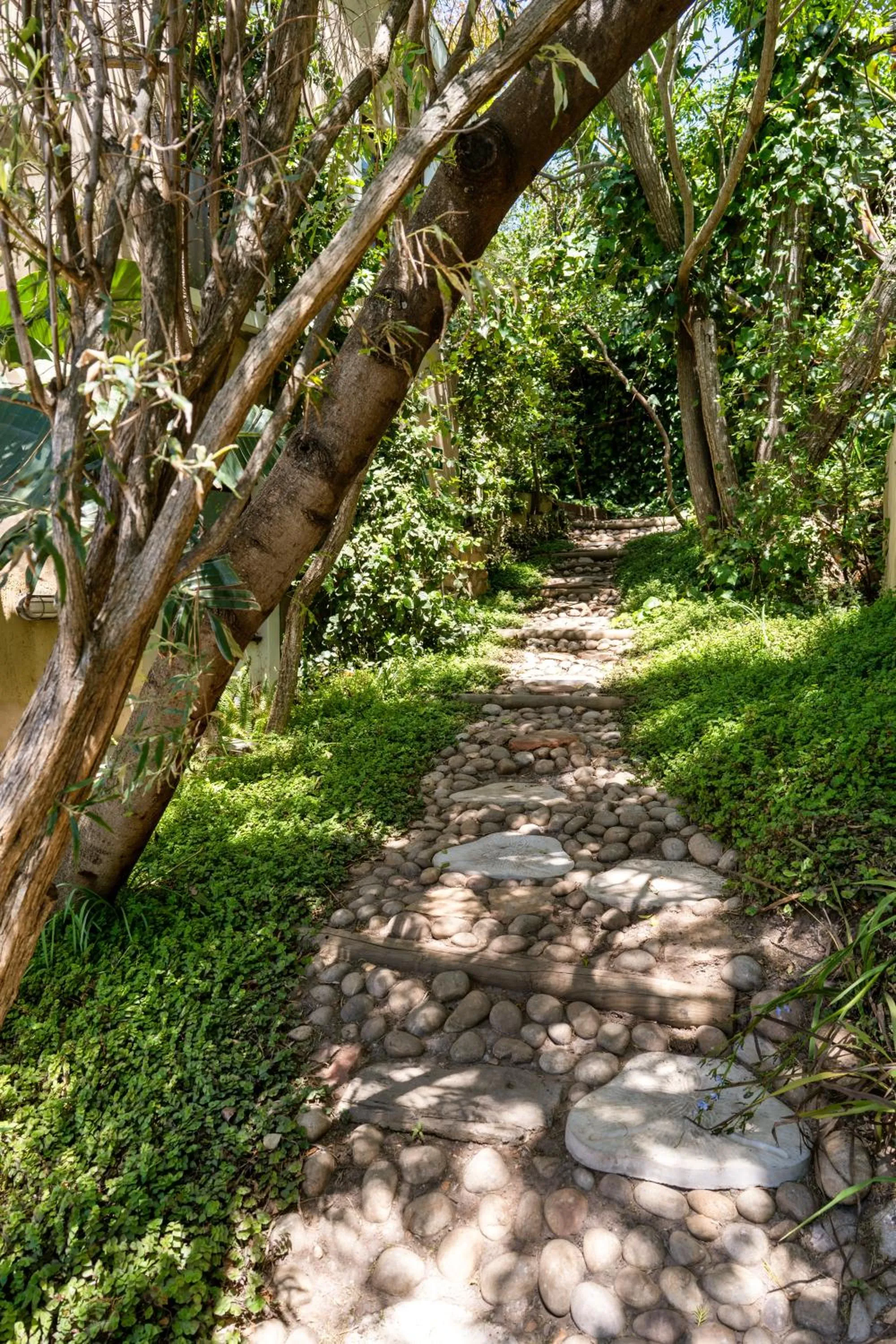 Garden in Die Ou Kliphuis