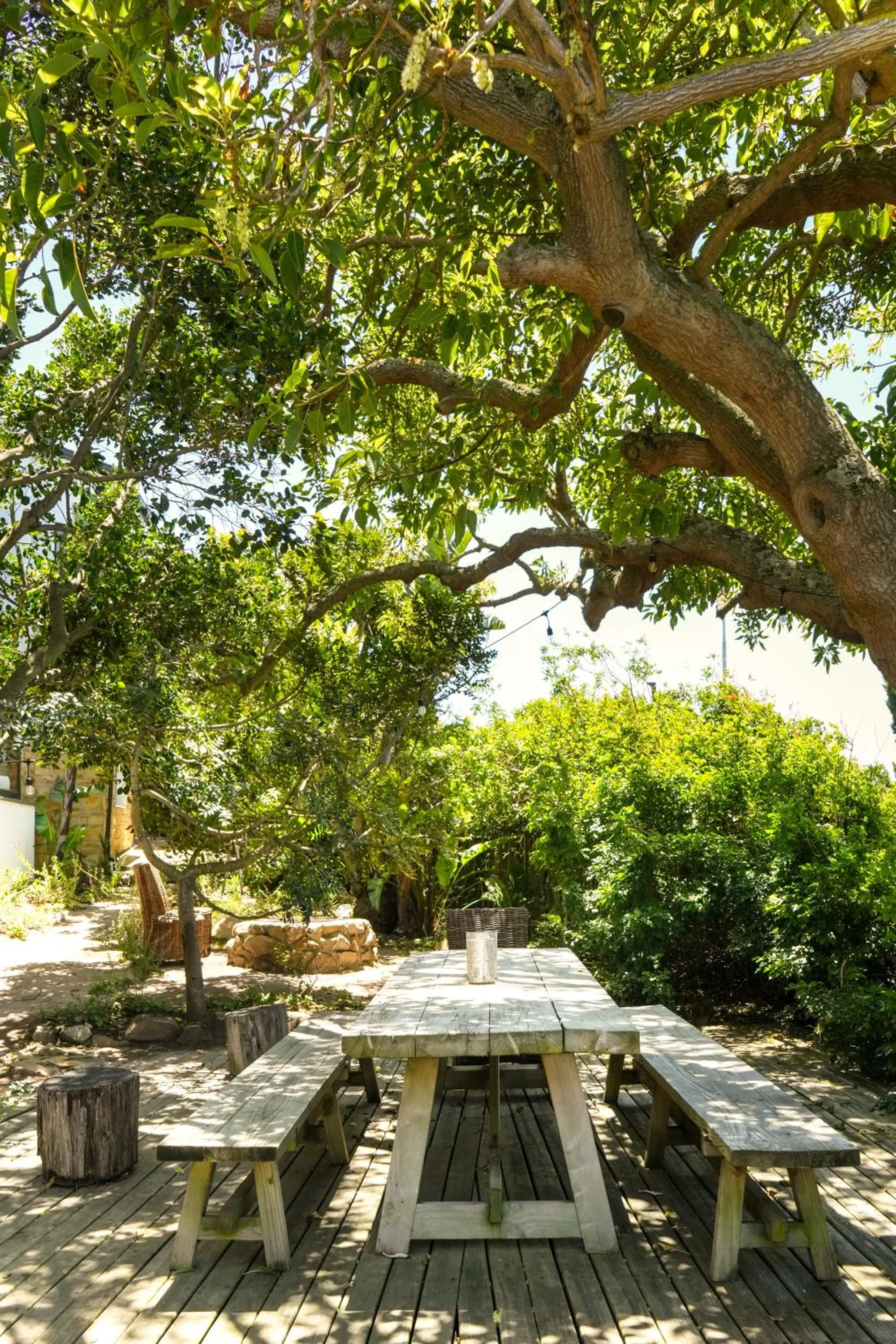 Garden view in Die Ou Kliphuis