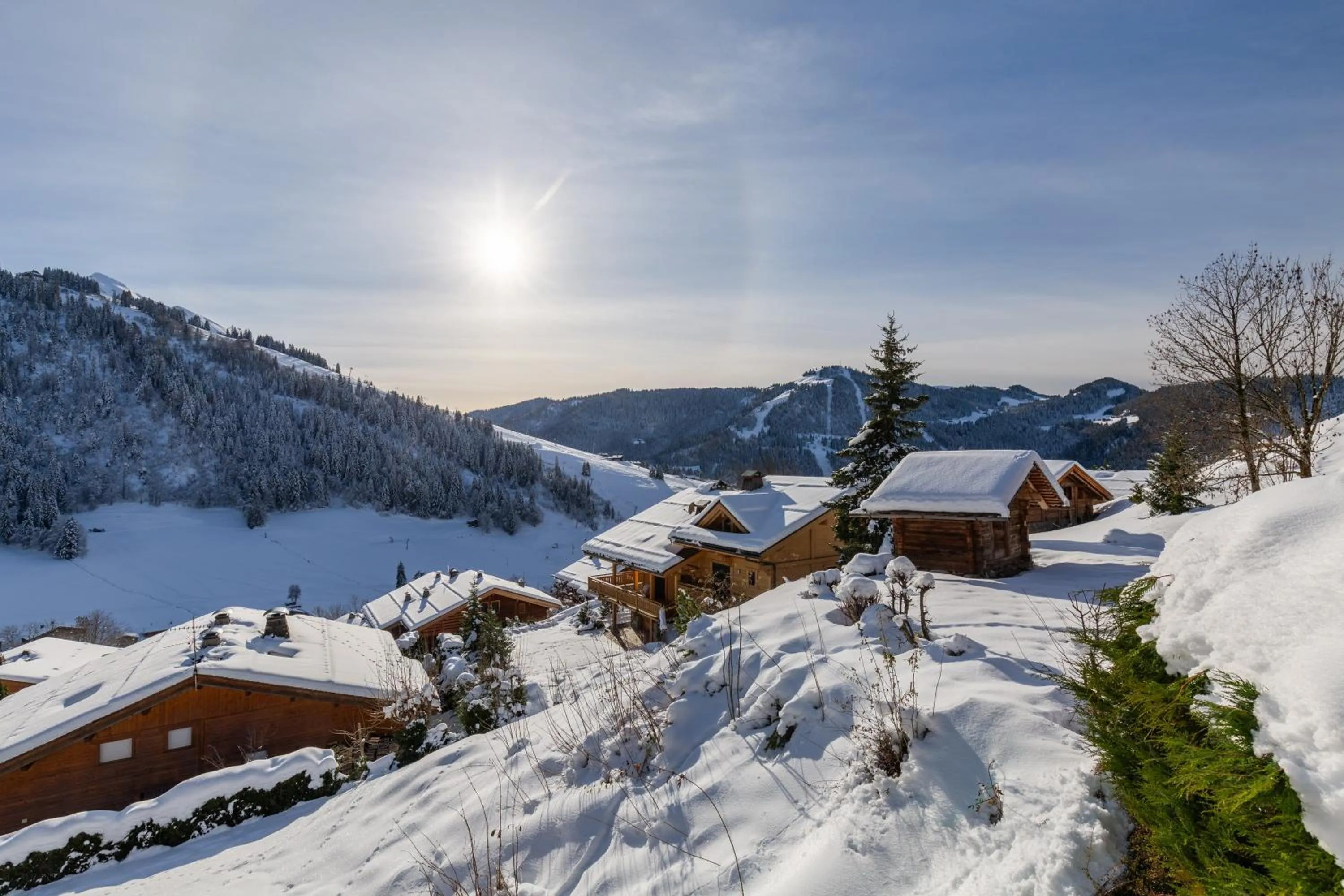 Property building in Chalet Coelacanthe