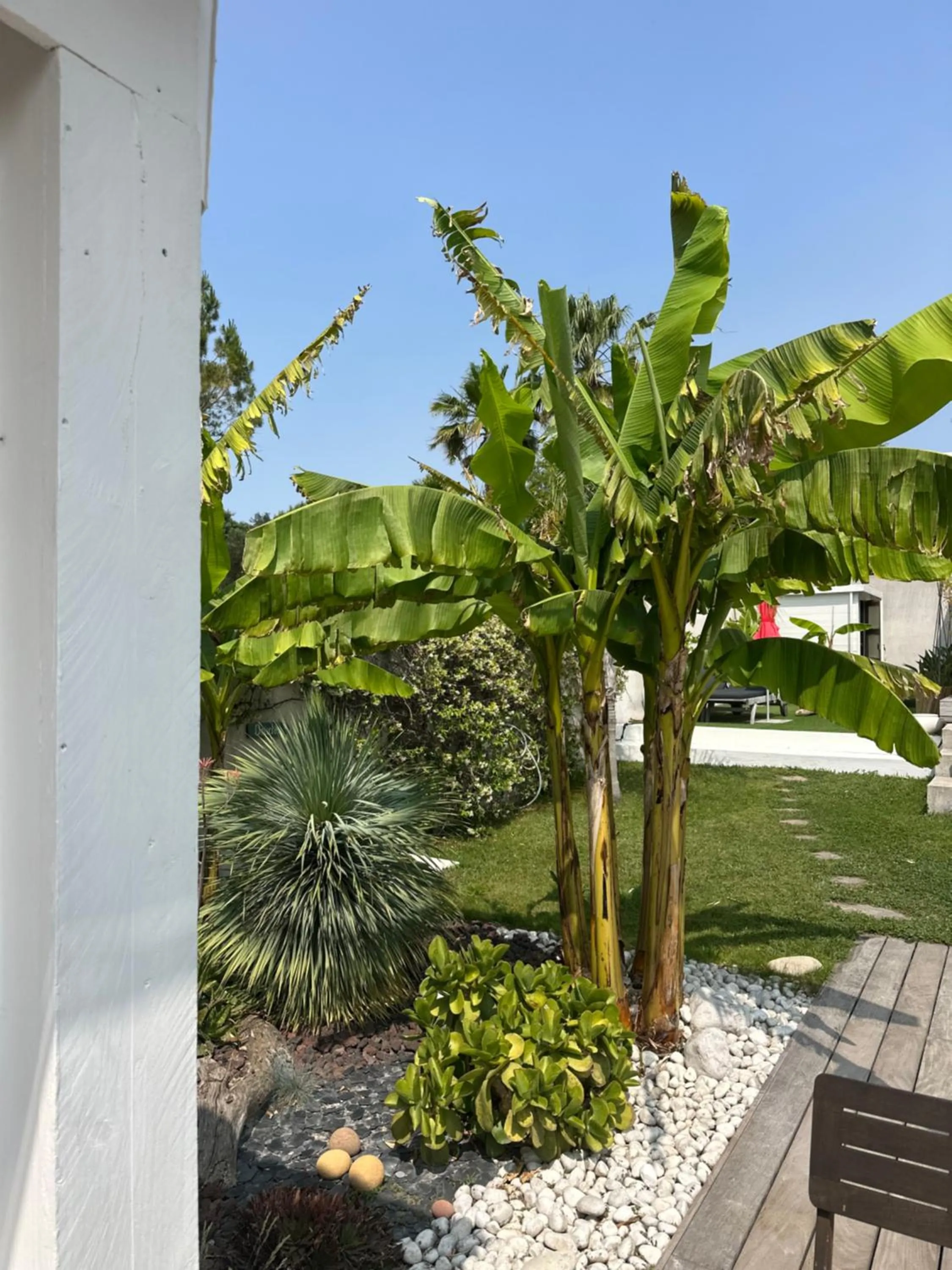 Breakfast in Villa Le Sud