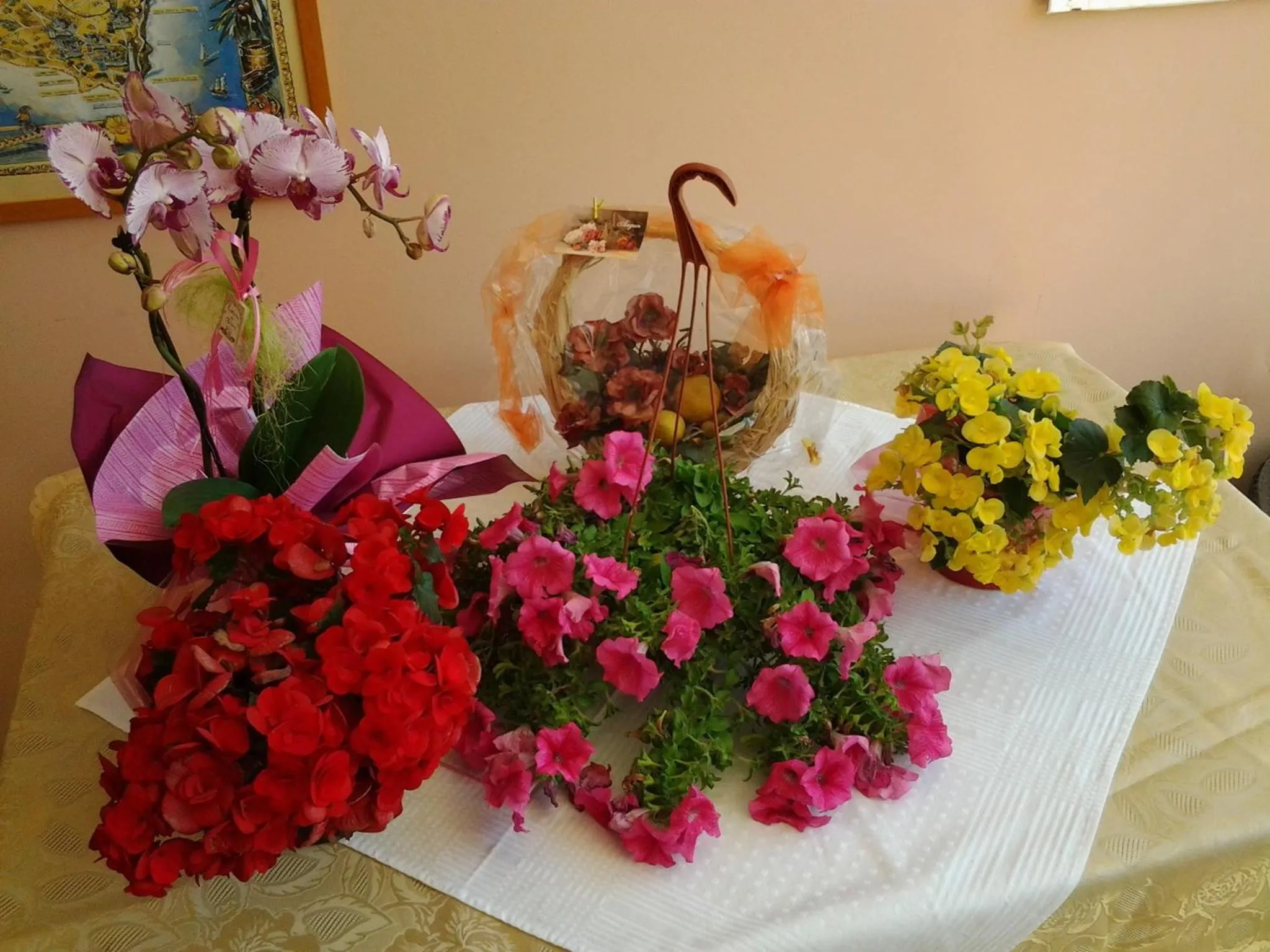 Garden in B & B Paradise