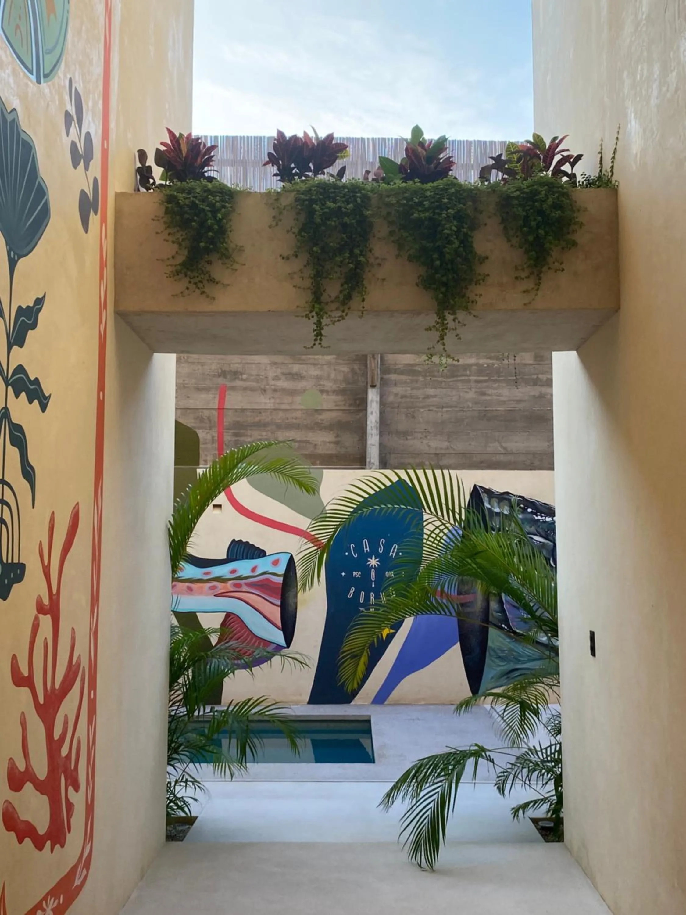 Decorative detail in Casa Borka LUXURY FULLY FURNISHED BEACH CONDOS WITH POOL