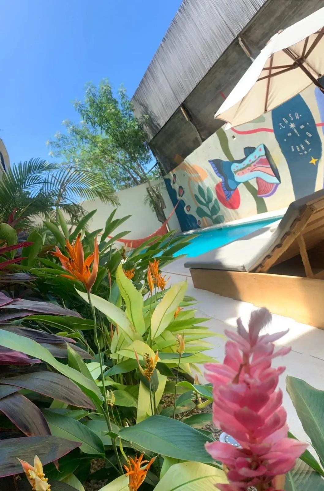 Swimming pool in Casa Borka LUXURY FULLY FURNISHED BEACH CONDOS WITH POOL