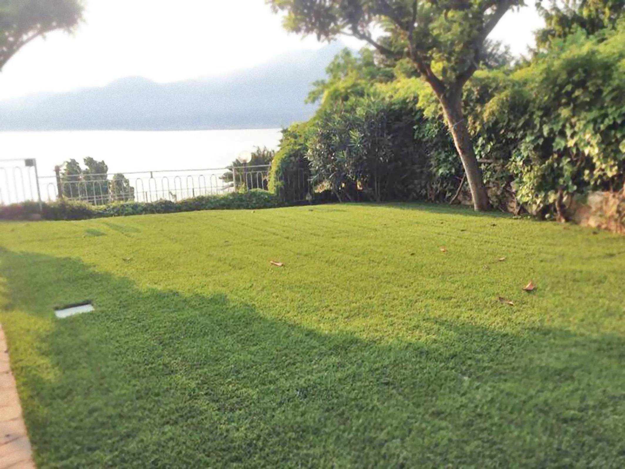 Garden view in Villa Margiò