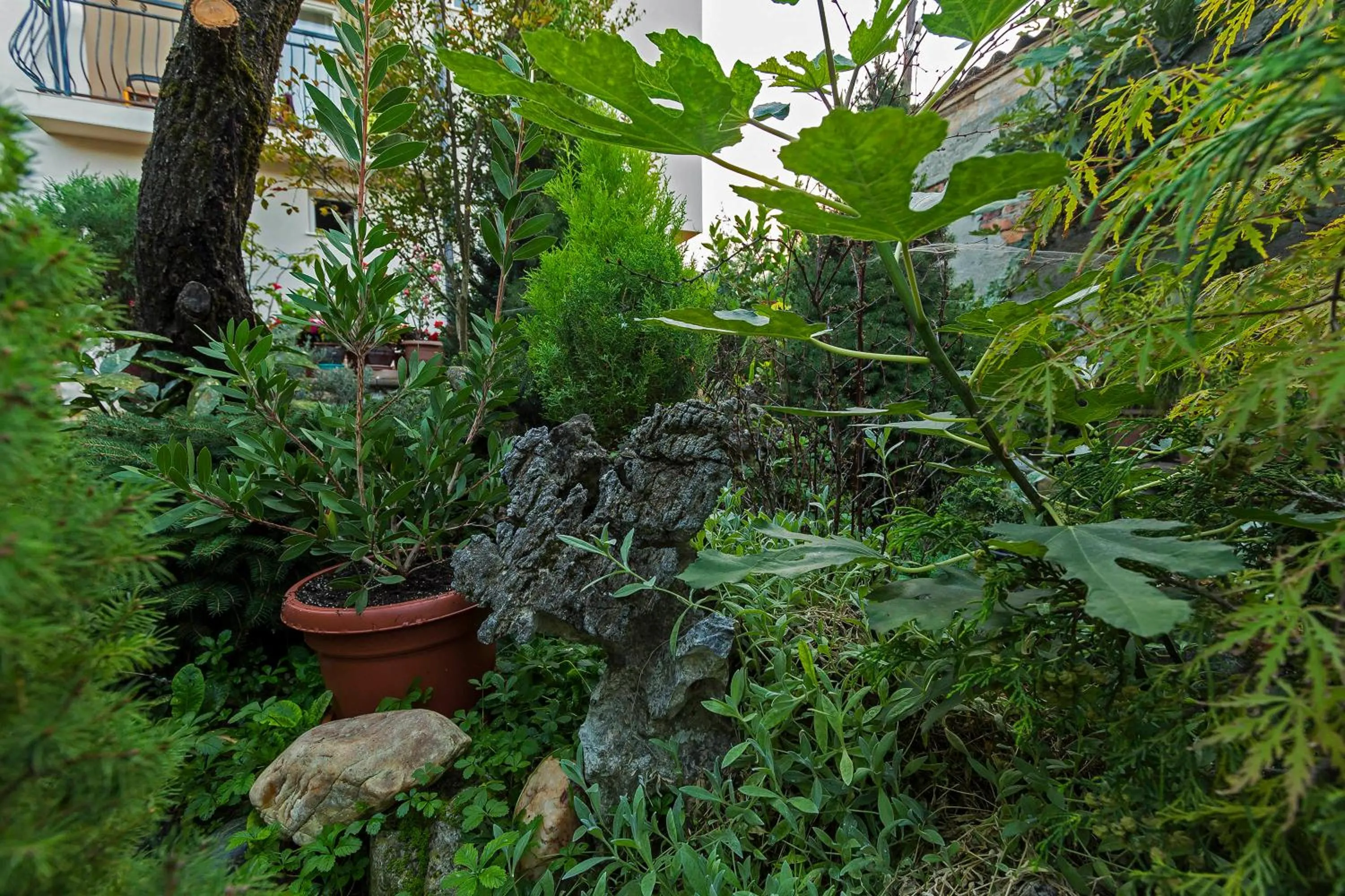 Garden in Bitrak Guest House