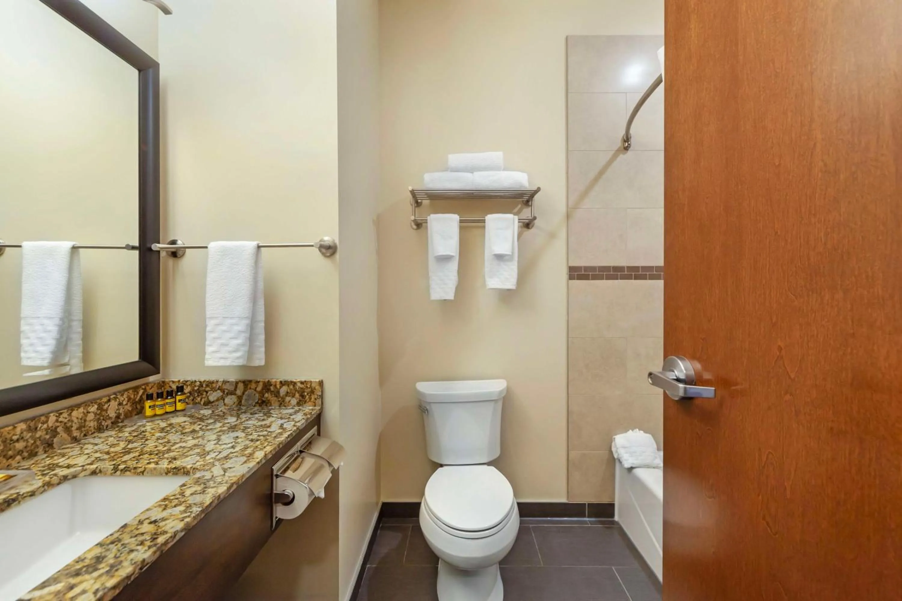 Bathroom in Best Western Plus Peace River Hotel & Suites