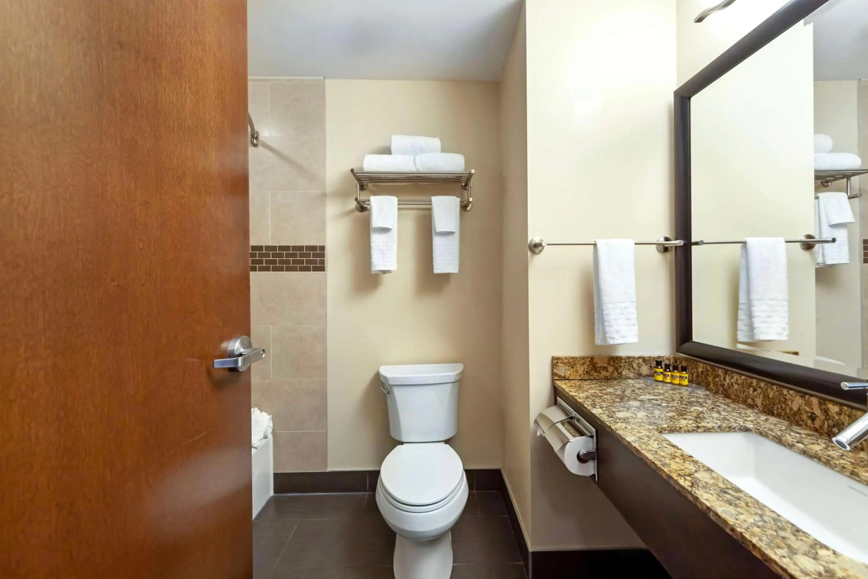 Bathroom in Best Western Plus Peace River Hotel & Suites