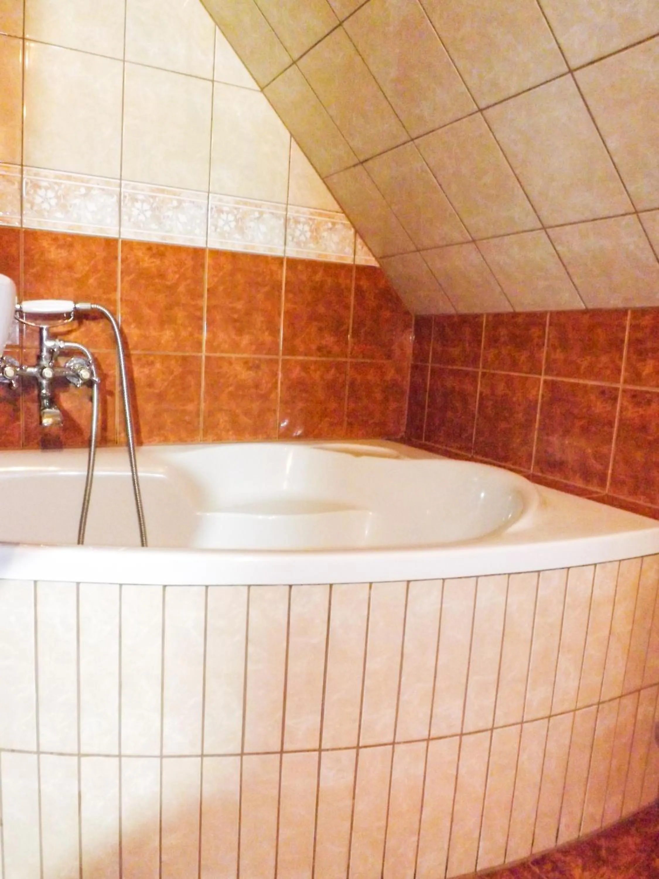 Toilet in Willa Rycerz