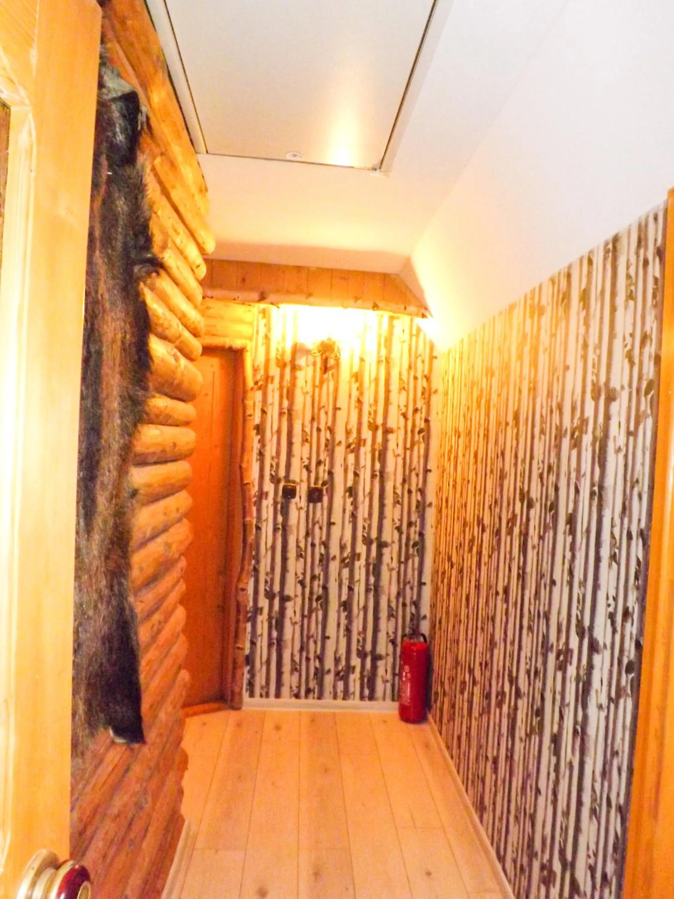 Decorative detail in Willa Rycerz