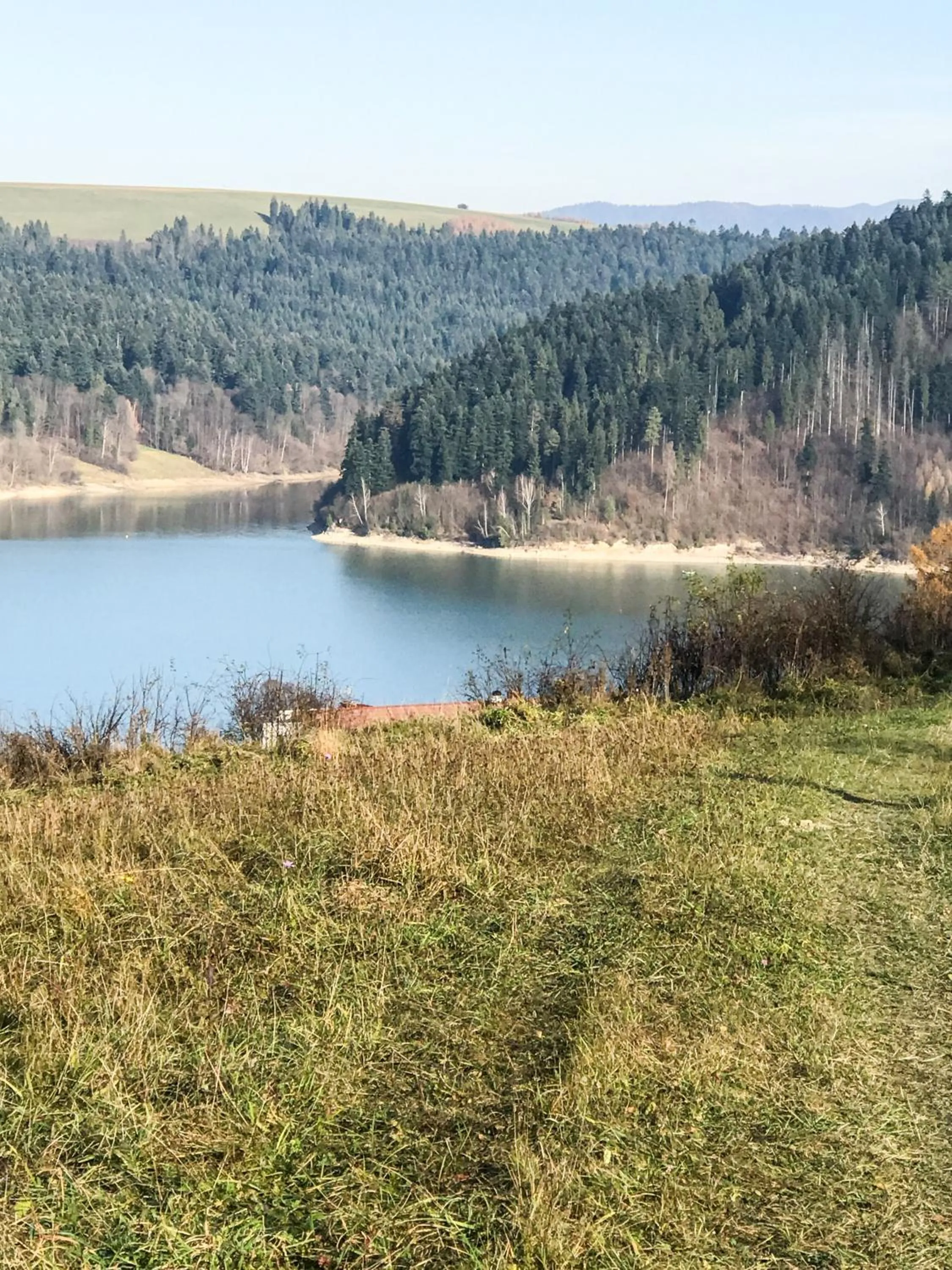 Natural landscape in Willa Rycerz