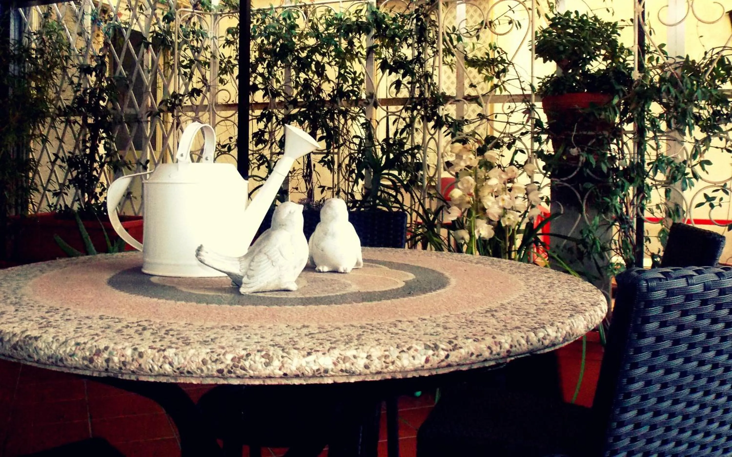 Solarium in B&B Elisir