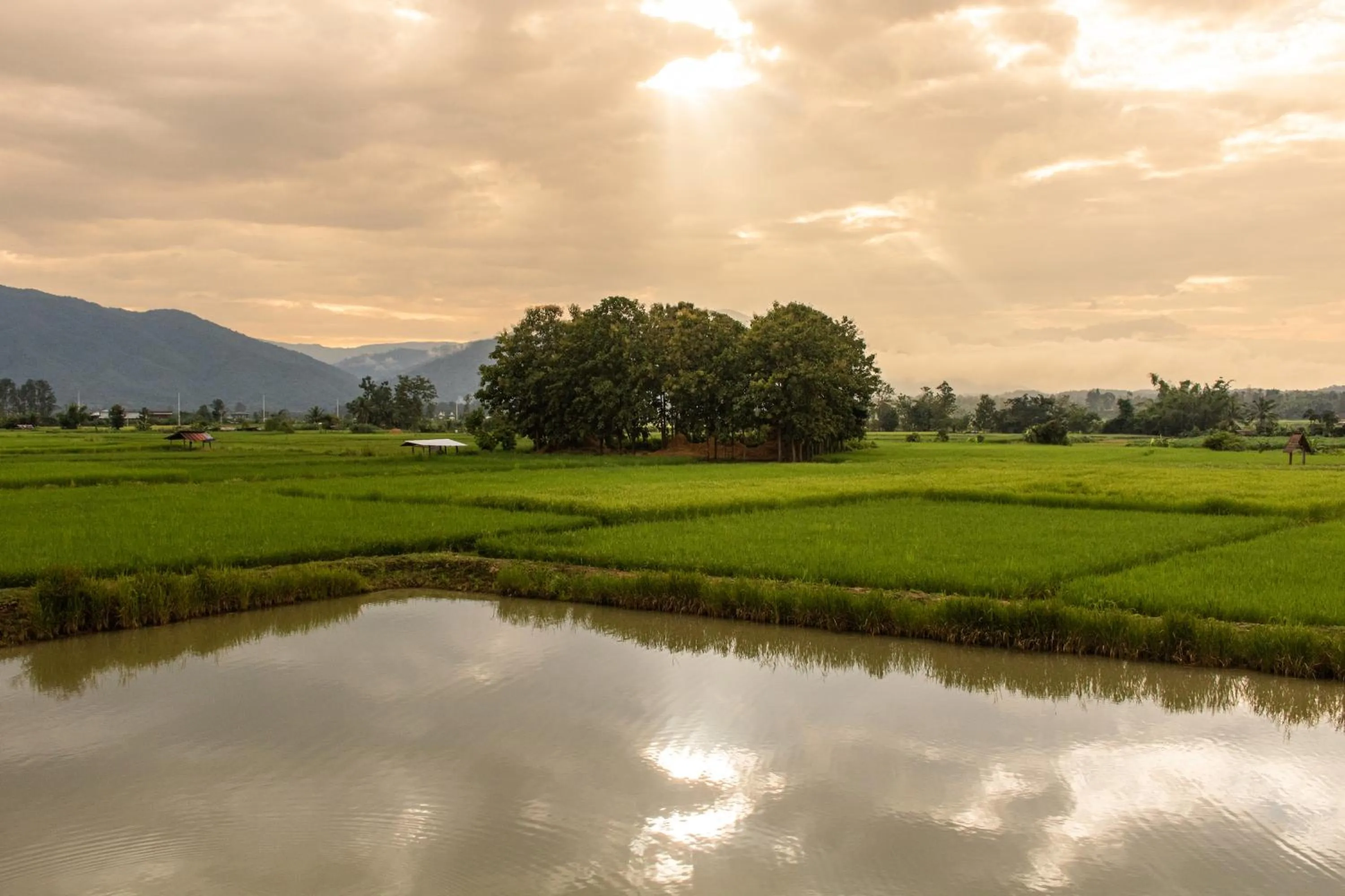 Lake view in Sangthong Resort at Chiang Klang