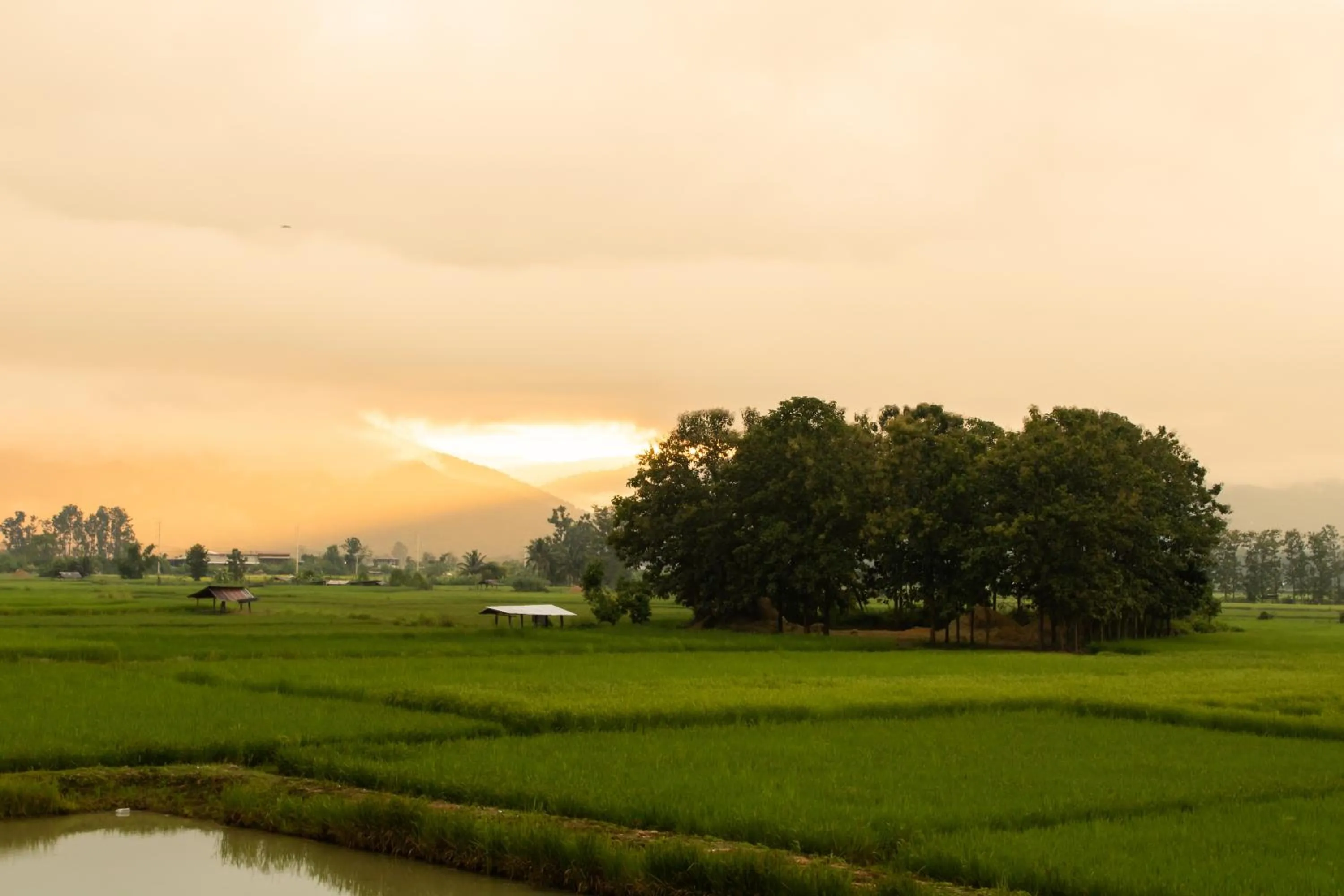 Sunrise in Sangthong Resort at Chiang Klang