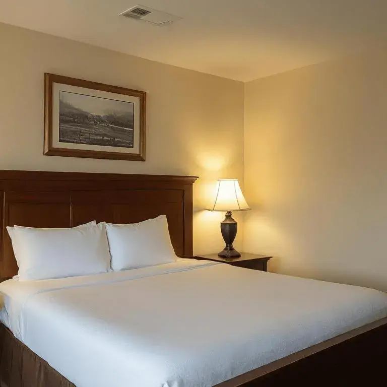 Bed in Midtown Inn Bed in Midtown Inn