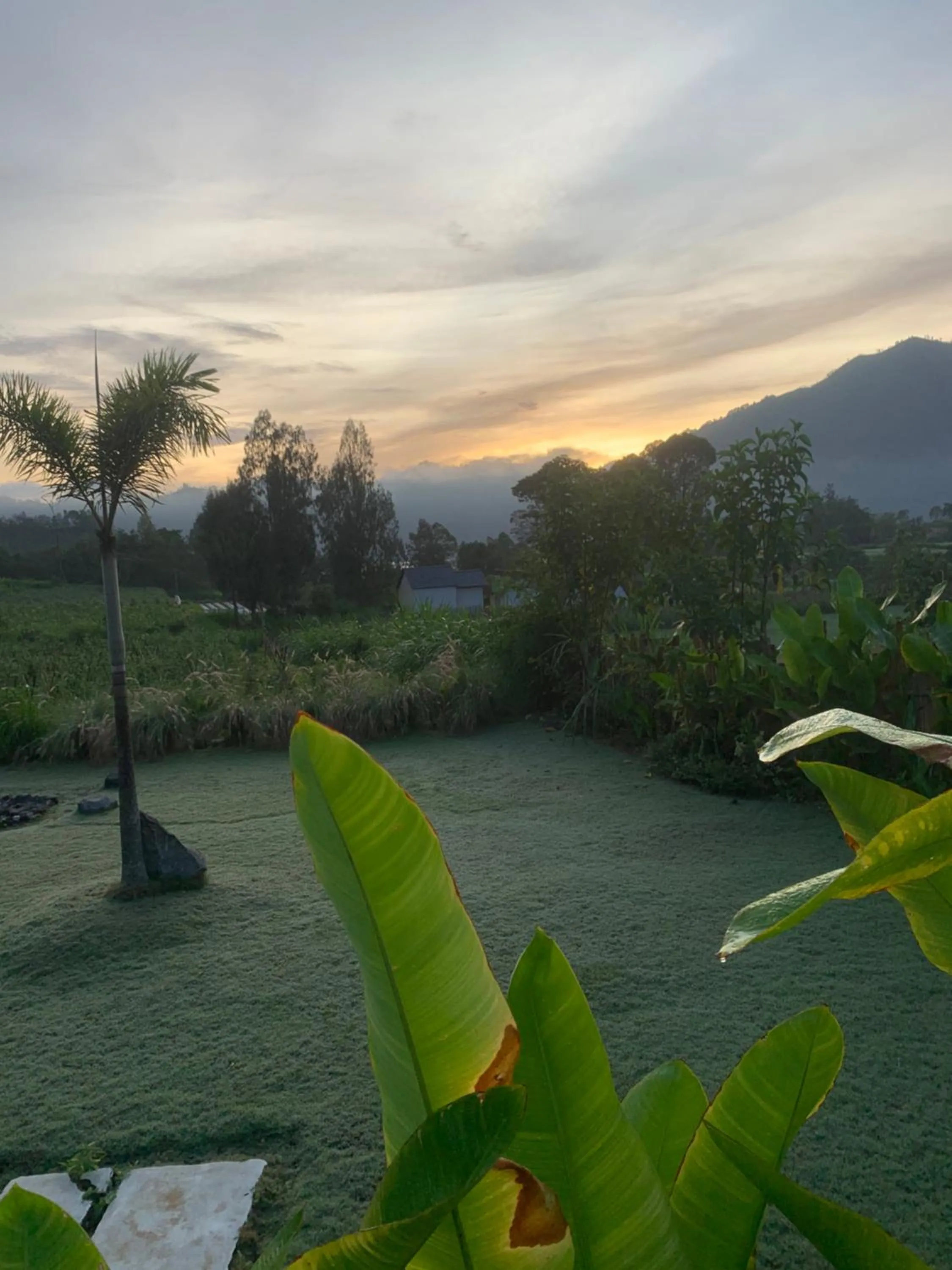 Bali Lesung