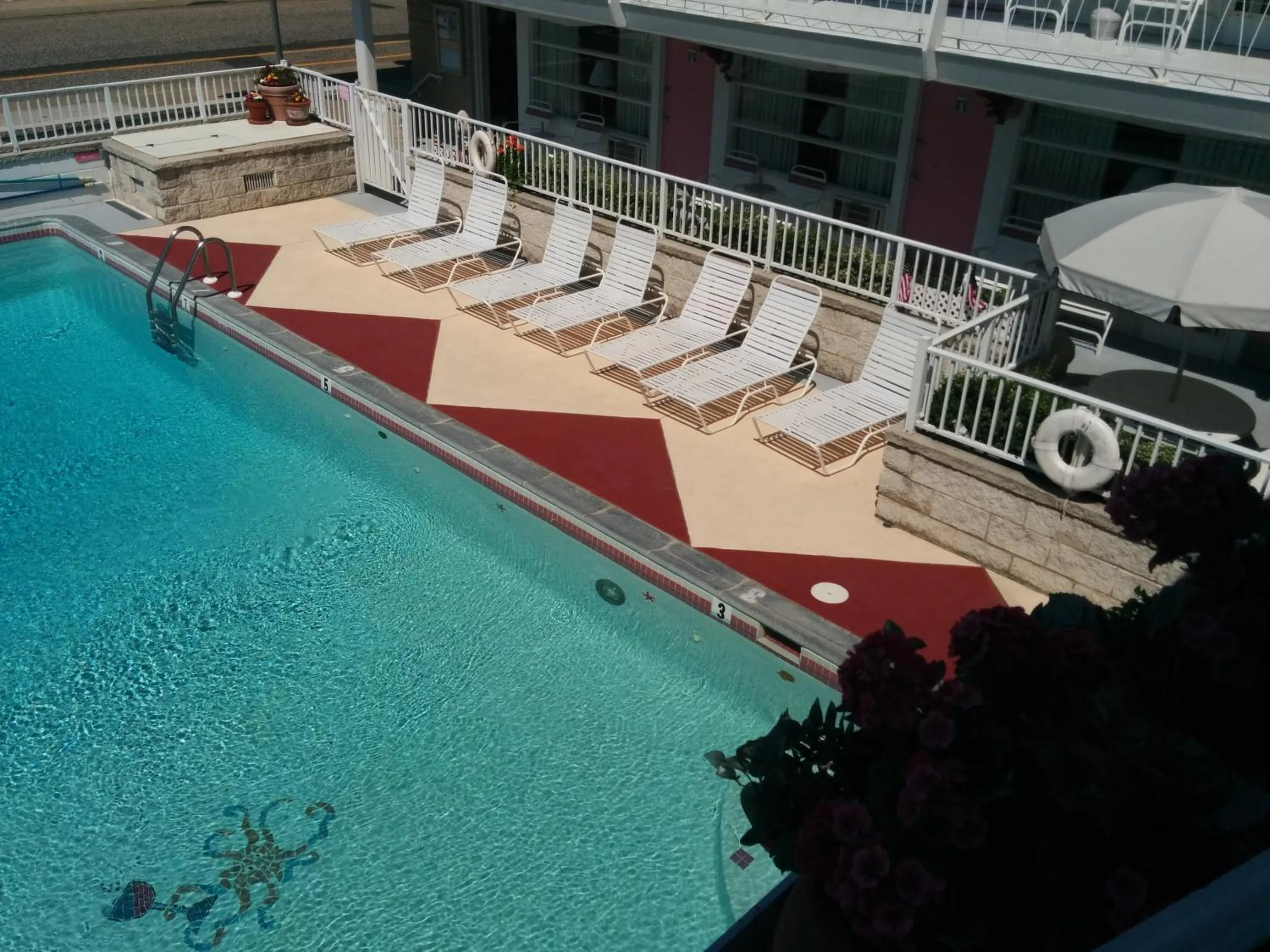 Pool view in Pink Champagne Motel