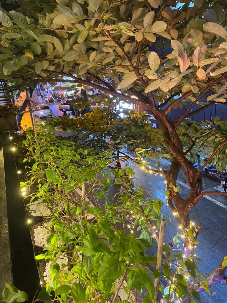 Restaurant/places to eat in Awesome Hanoi Hostel Restaurant/places to eat in Awesome Hanoi Hostel