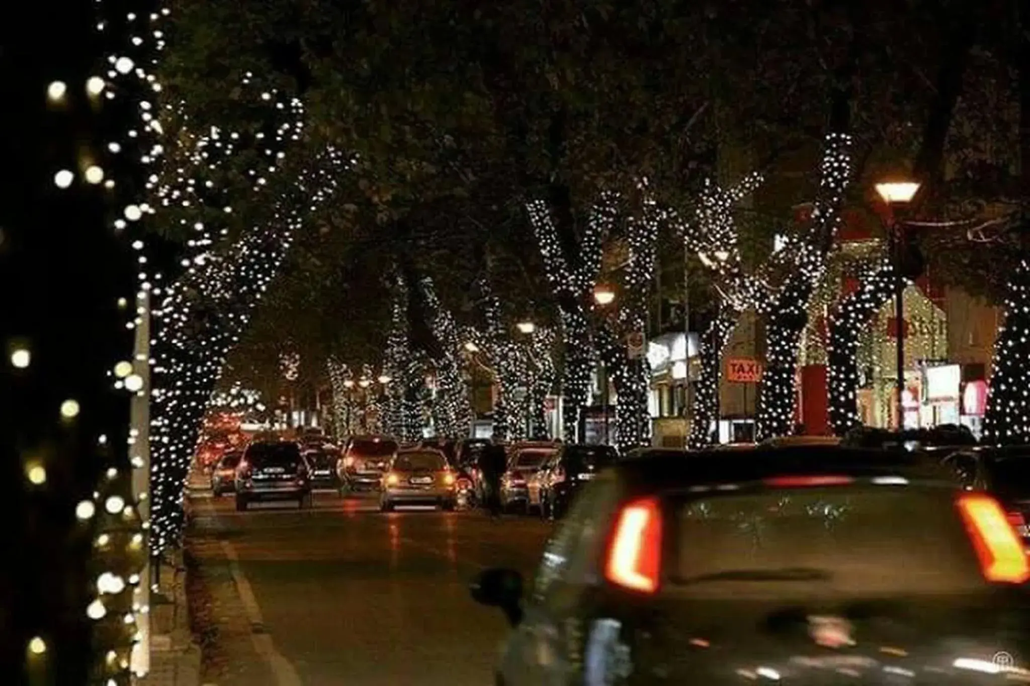 Apartment in Lovely 1 1 Rental Ap In Myslym Shyri Tirana Apartment in Lovely 1 1 Rental Ap In Myslym Shyri Tirana