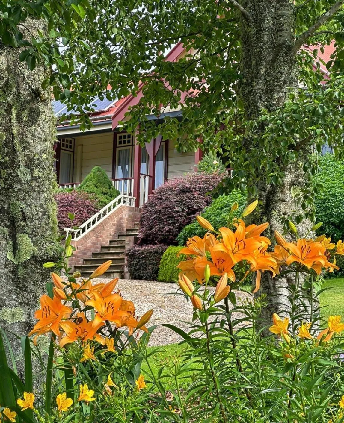 Garden in Bethany Manor Bed & Breakfast