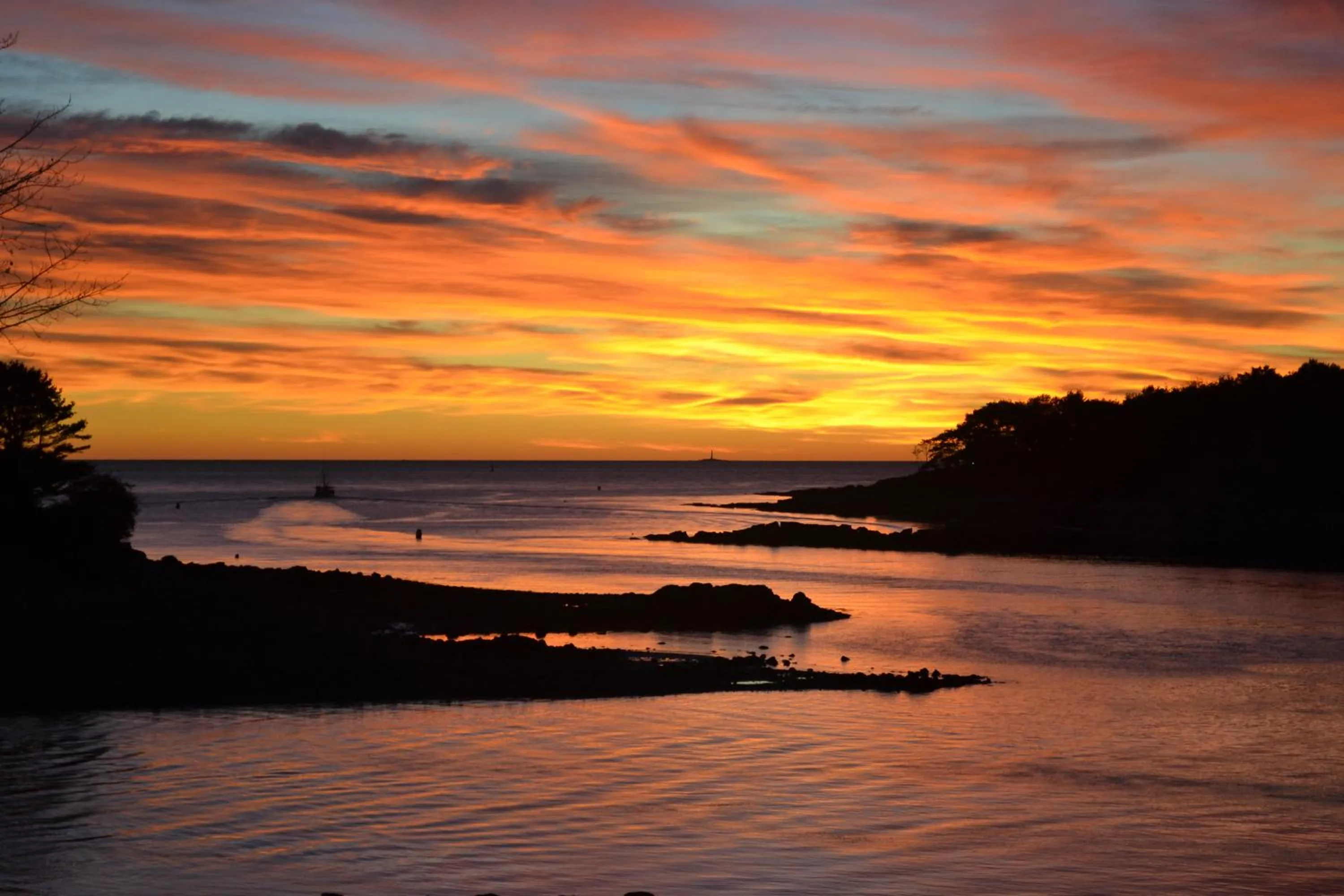 Natural landscape in Dockside Guest Quarters
