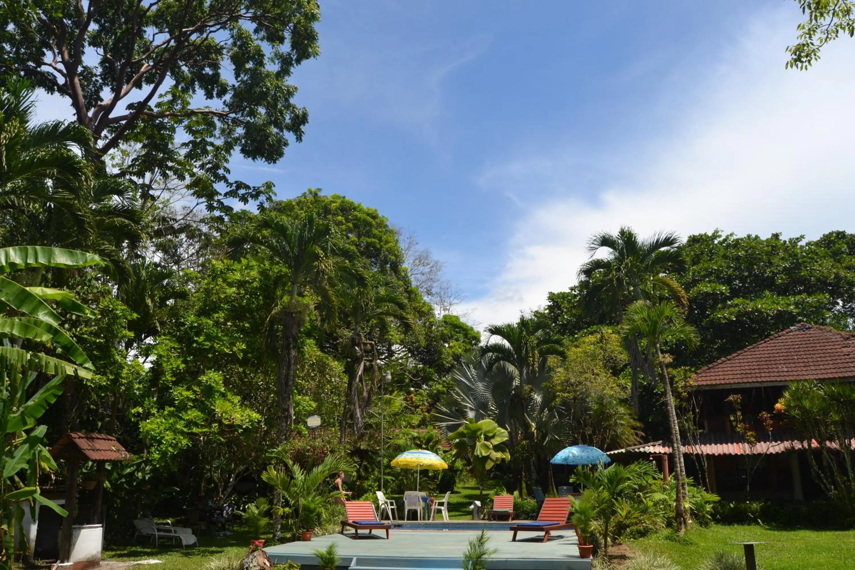 Garden view in Chalet Y Cabinas Hibiscus