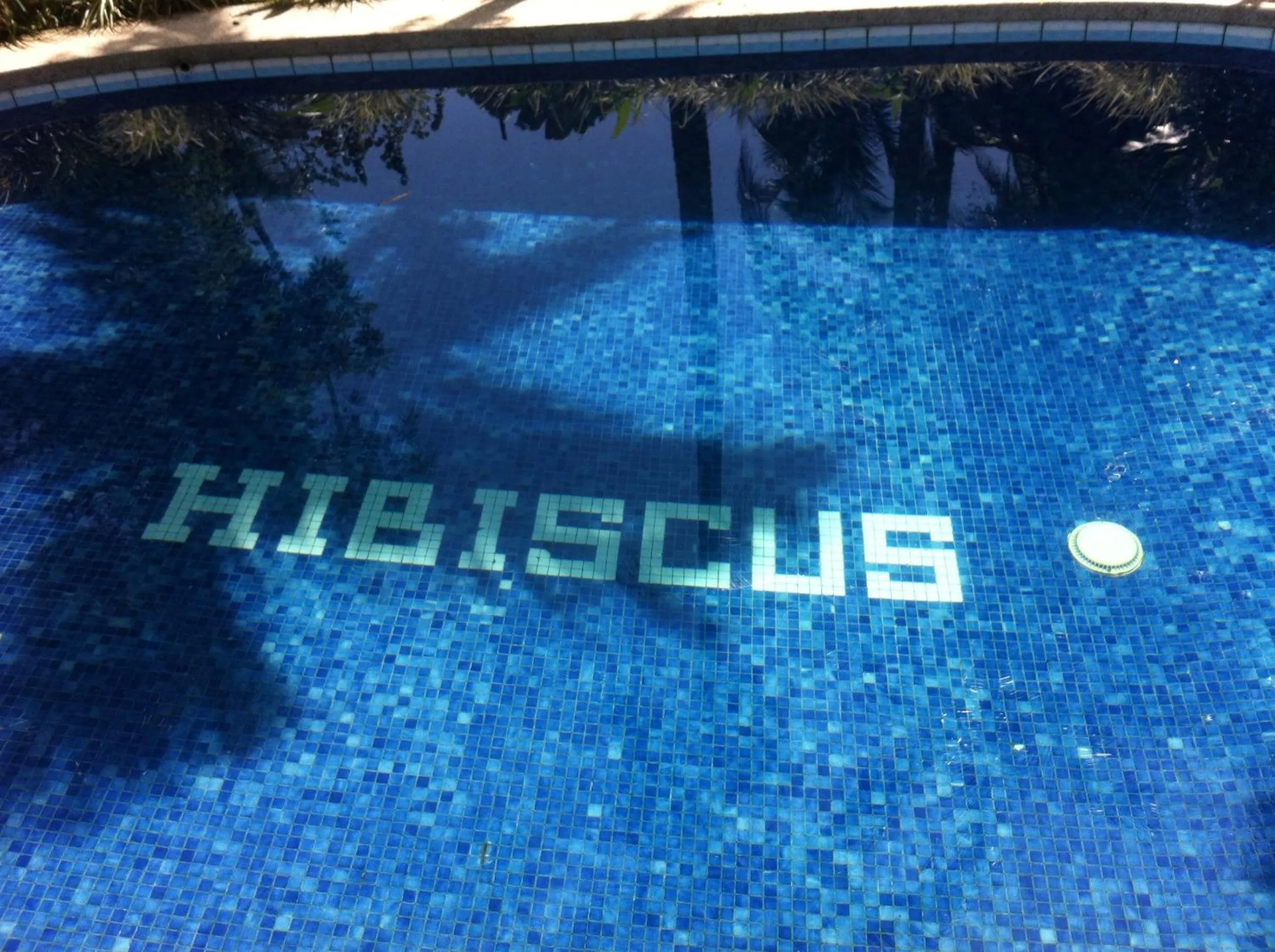 Swimming pool in Chalet Y Cabinas Hibiscus