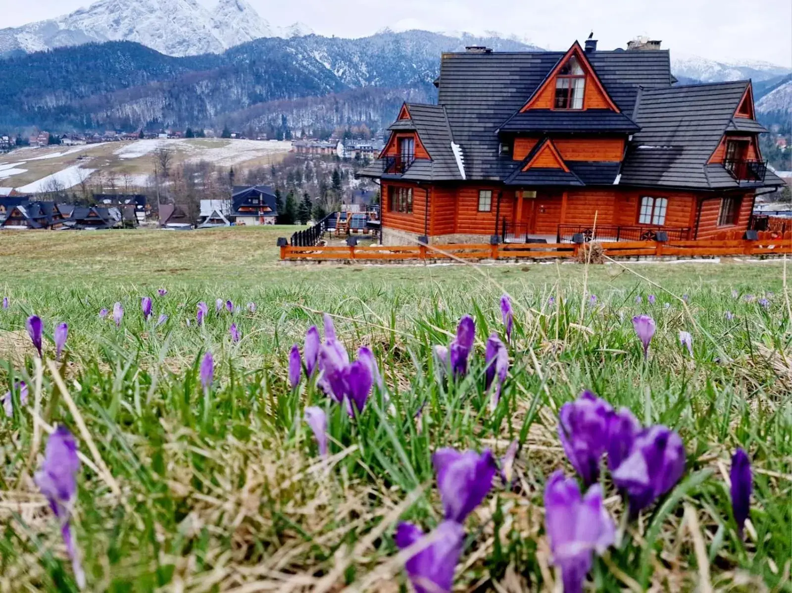 Góralska Prowincja Góralska Prowincja