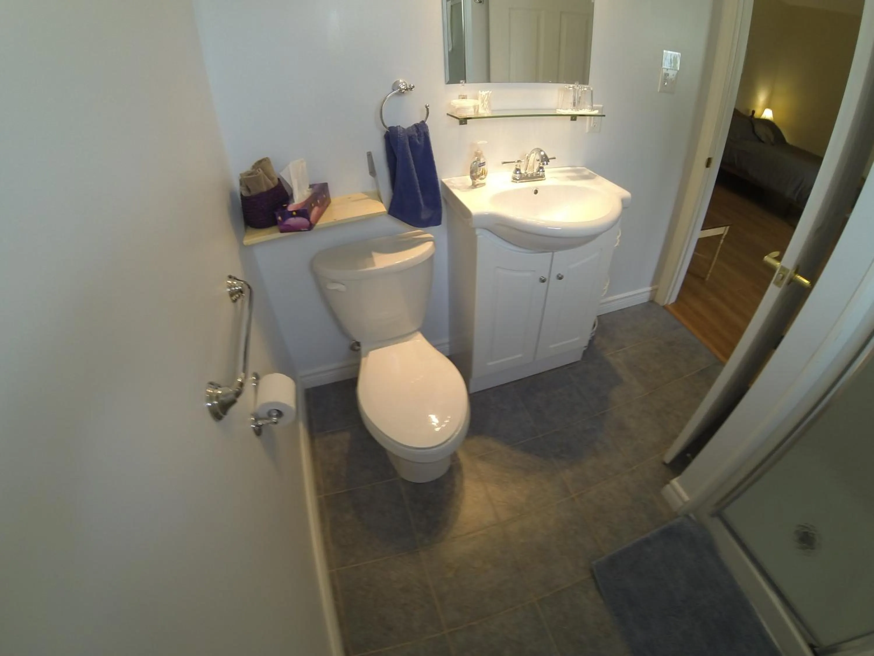 Shower in The Fiddle and the Sea Bed and Breakfast