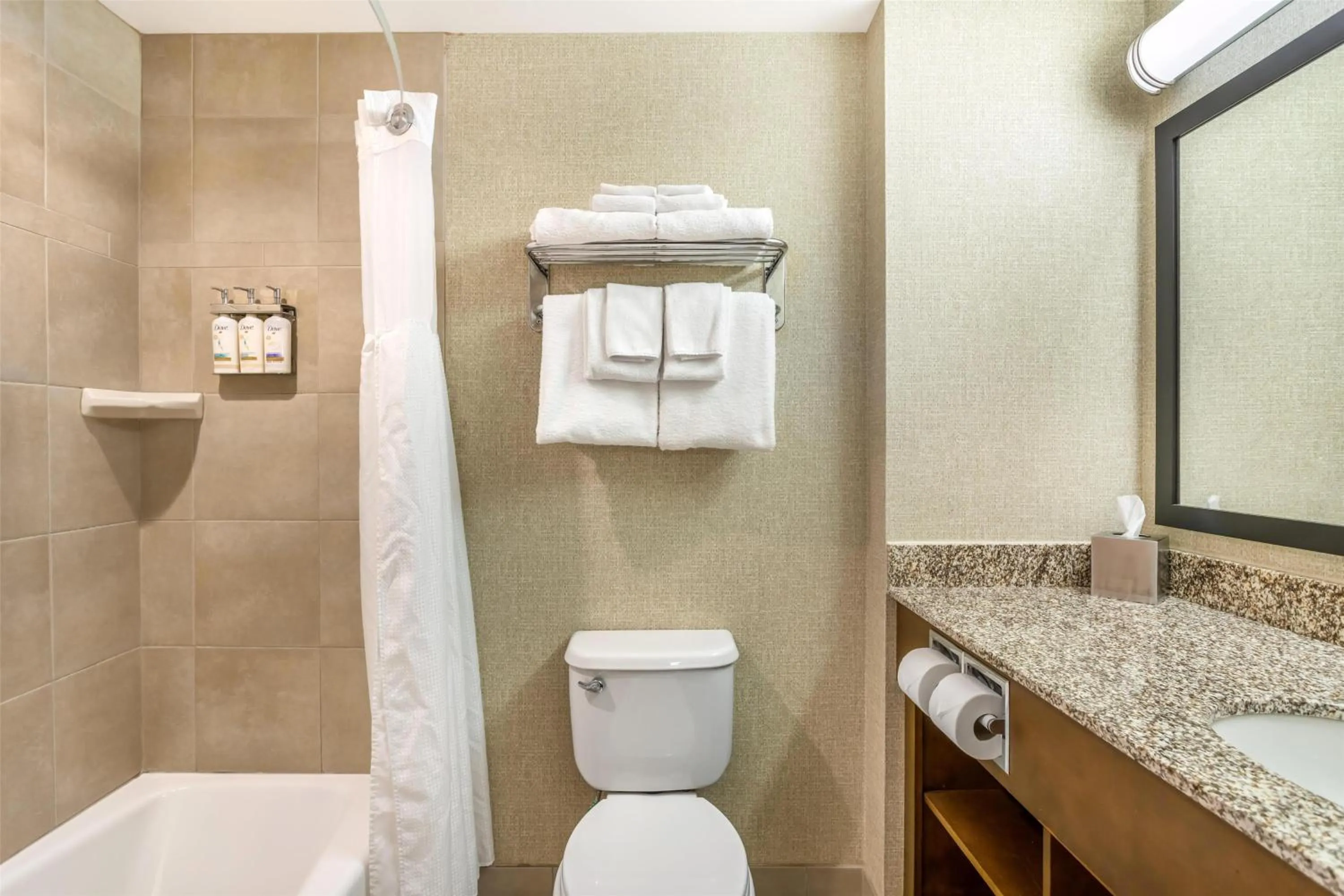Bathroom in Best Western Plus Service Inn & Suites