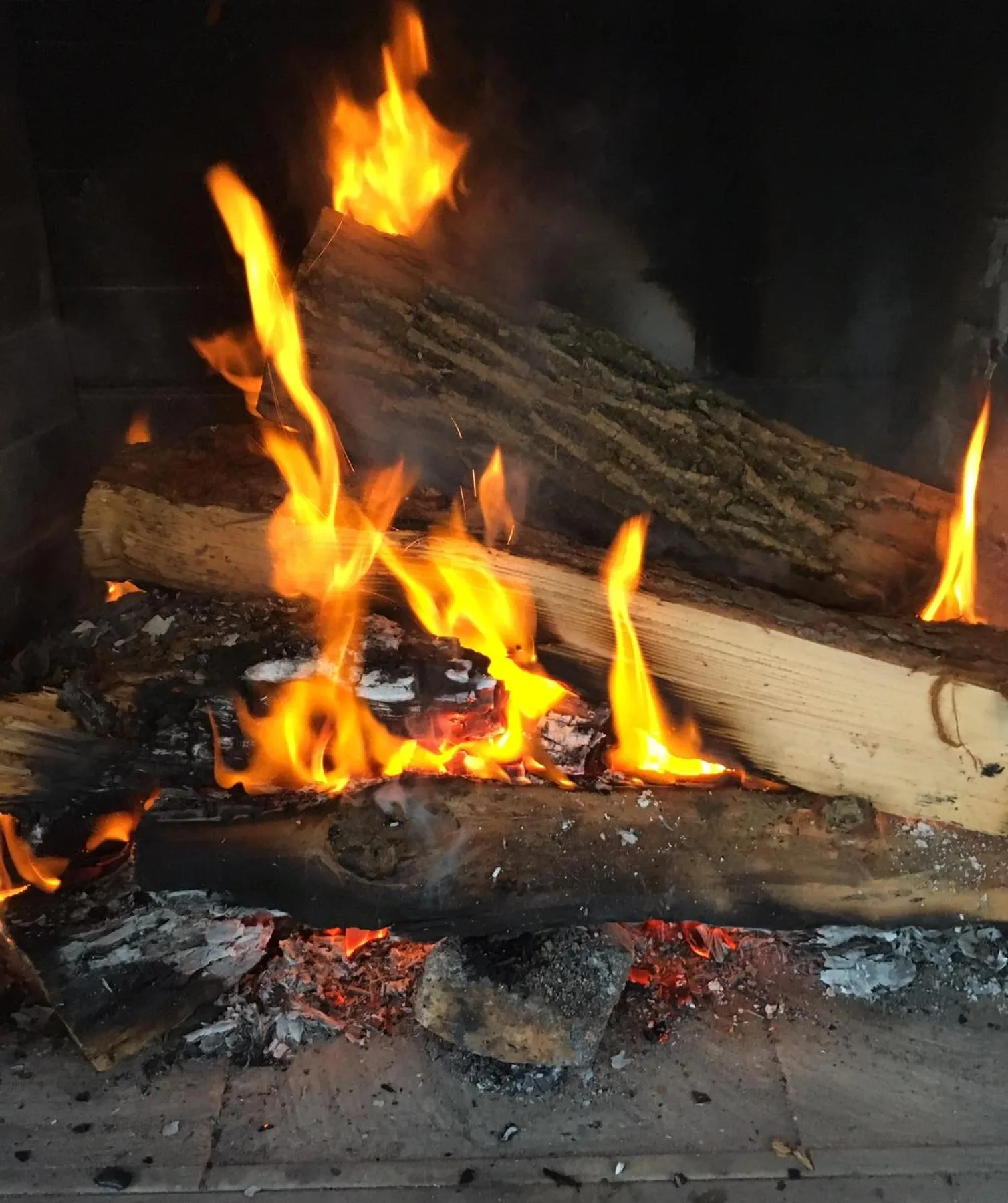 Balcony/Terrace in The Fern Lodge