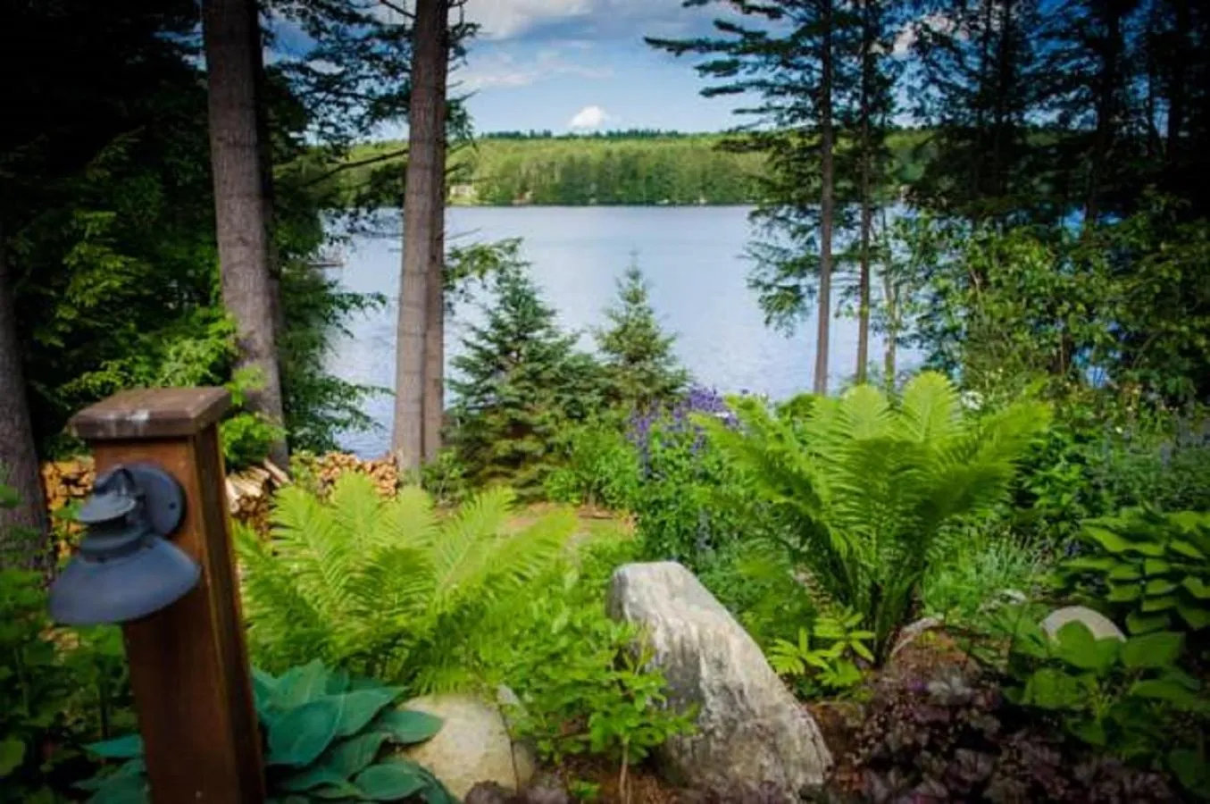 Garden in The Fern Lodge